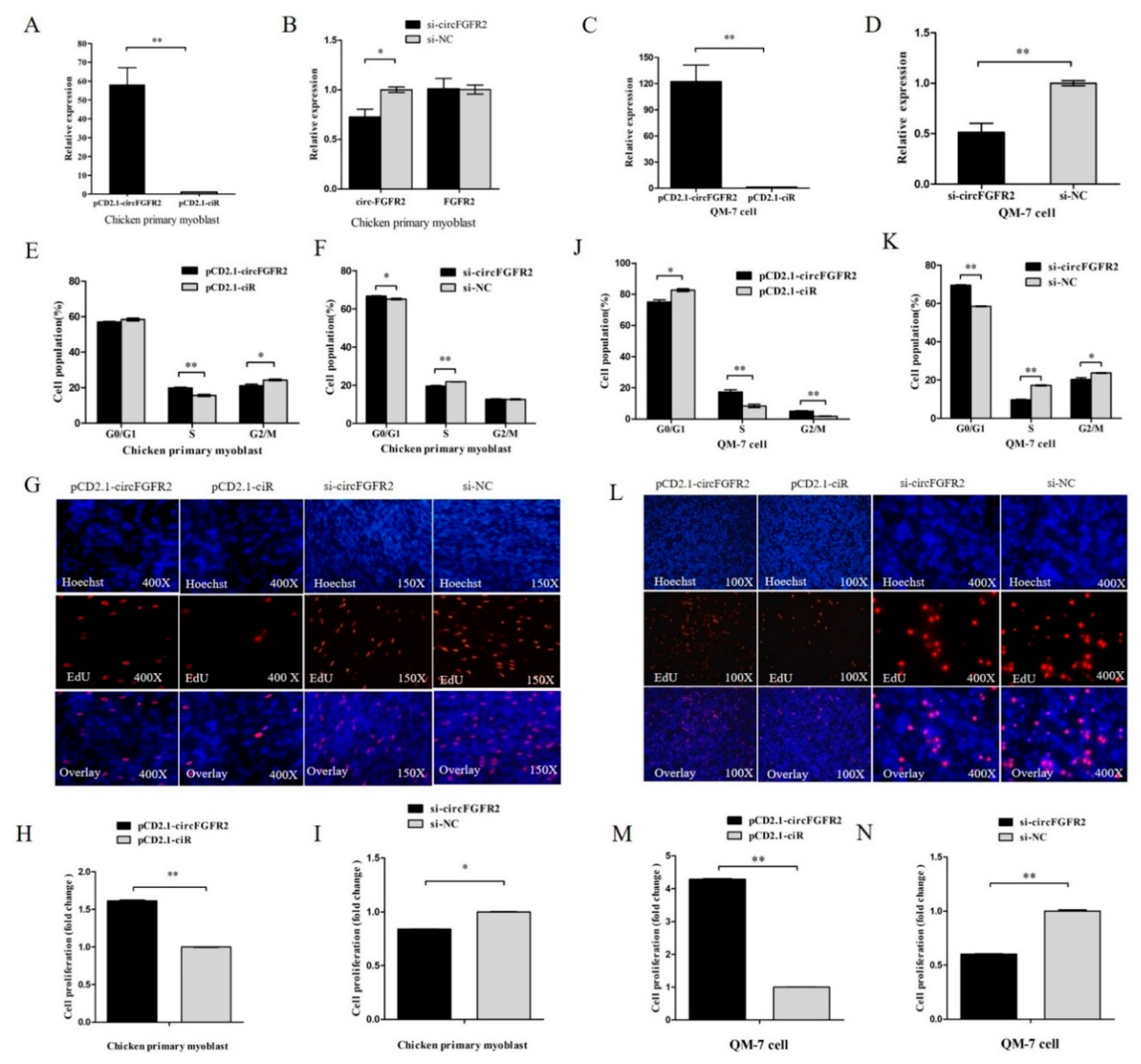 Cells 07 00199 g001