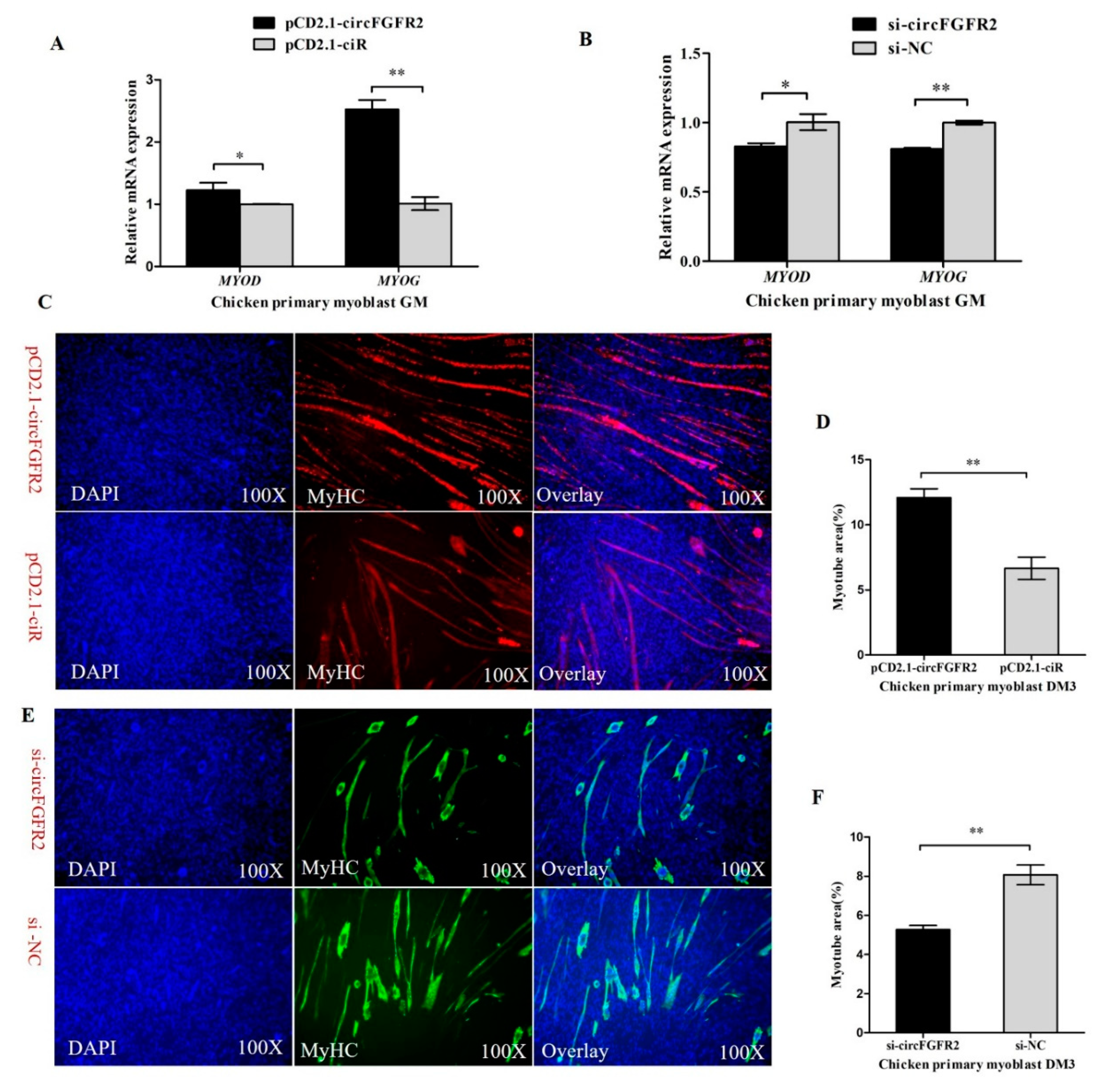 Cells 07 00199 g002