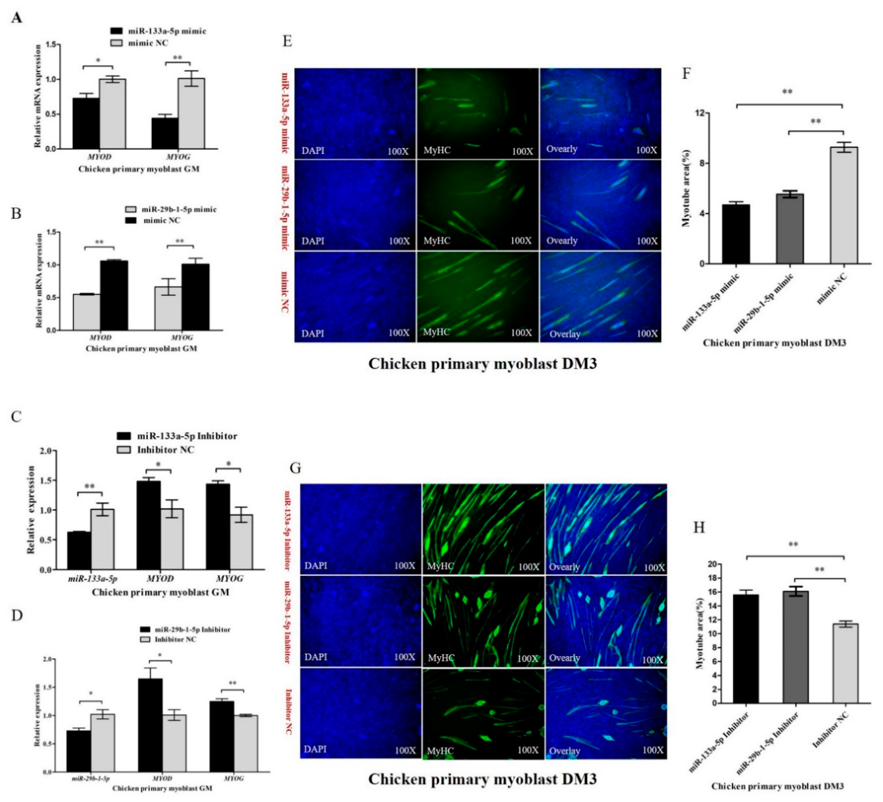 Cells 07 00199 g006