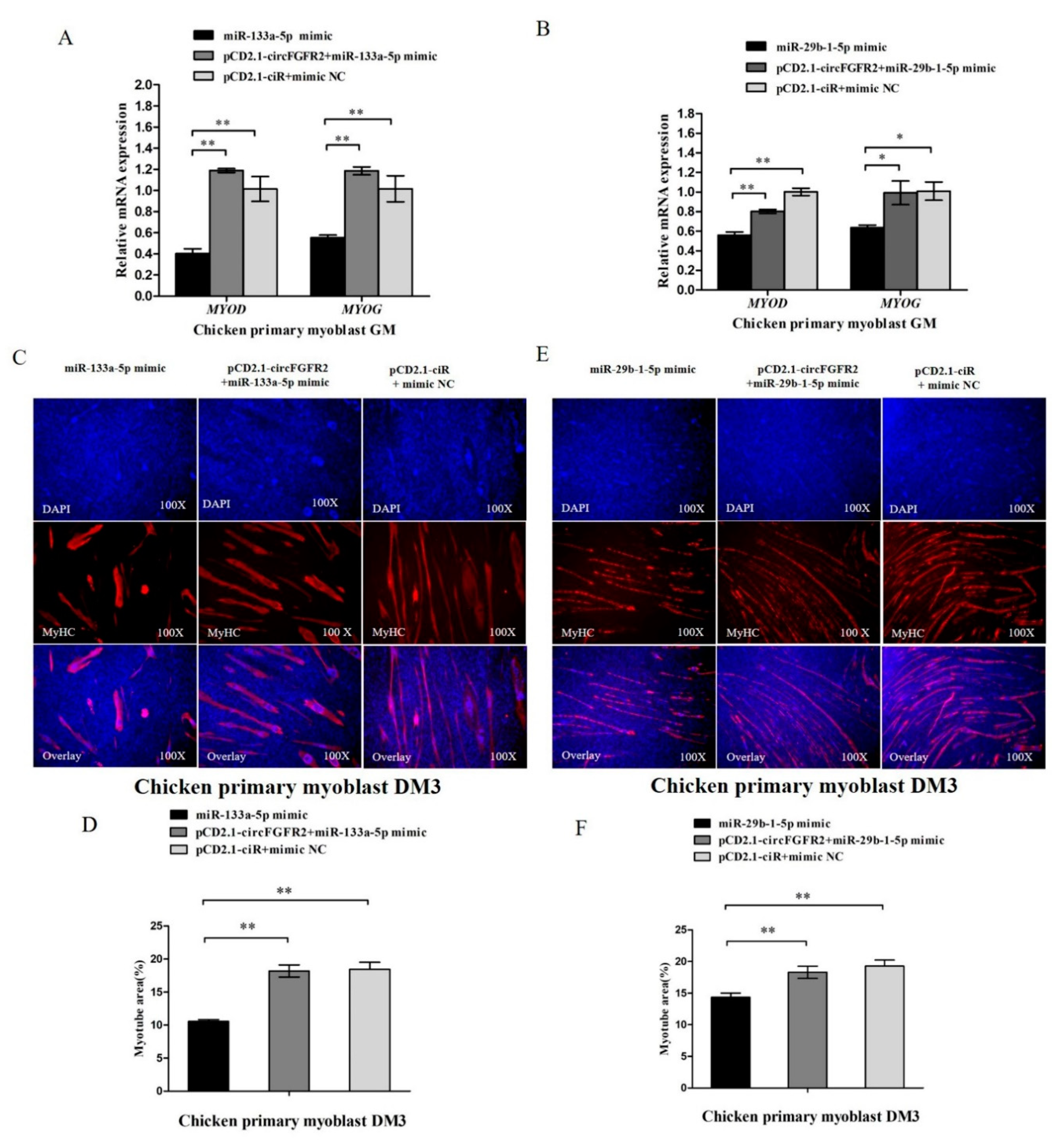 Cells 07 00199 g007