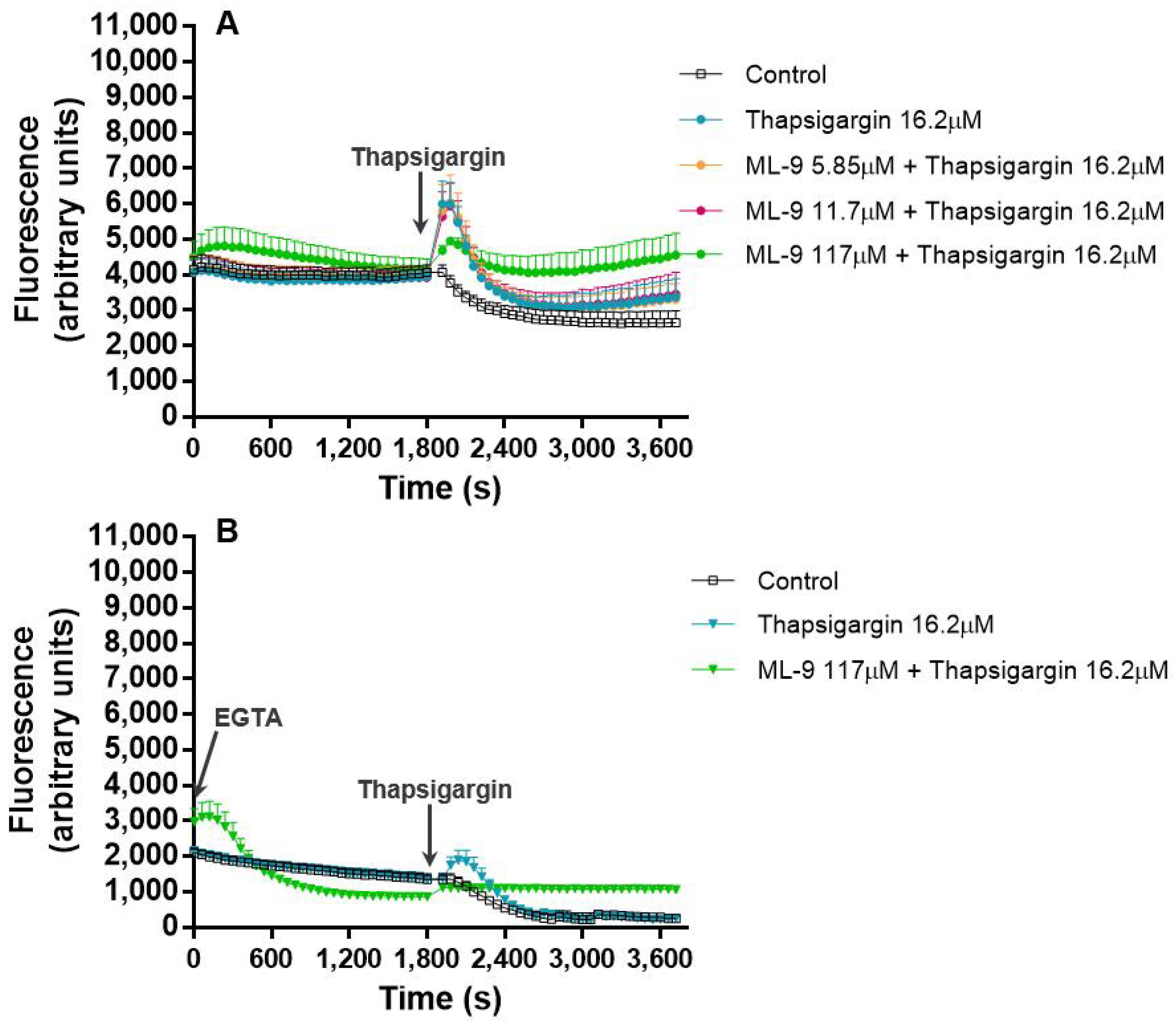 Cells 07 00204 g005