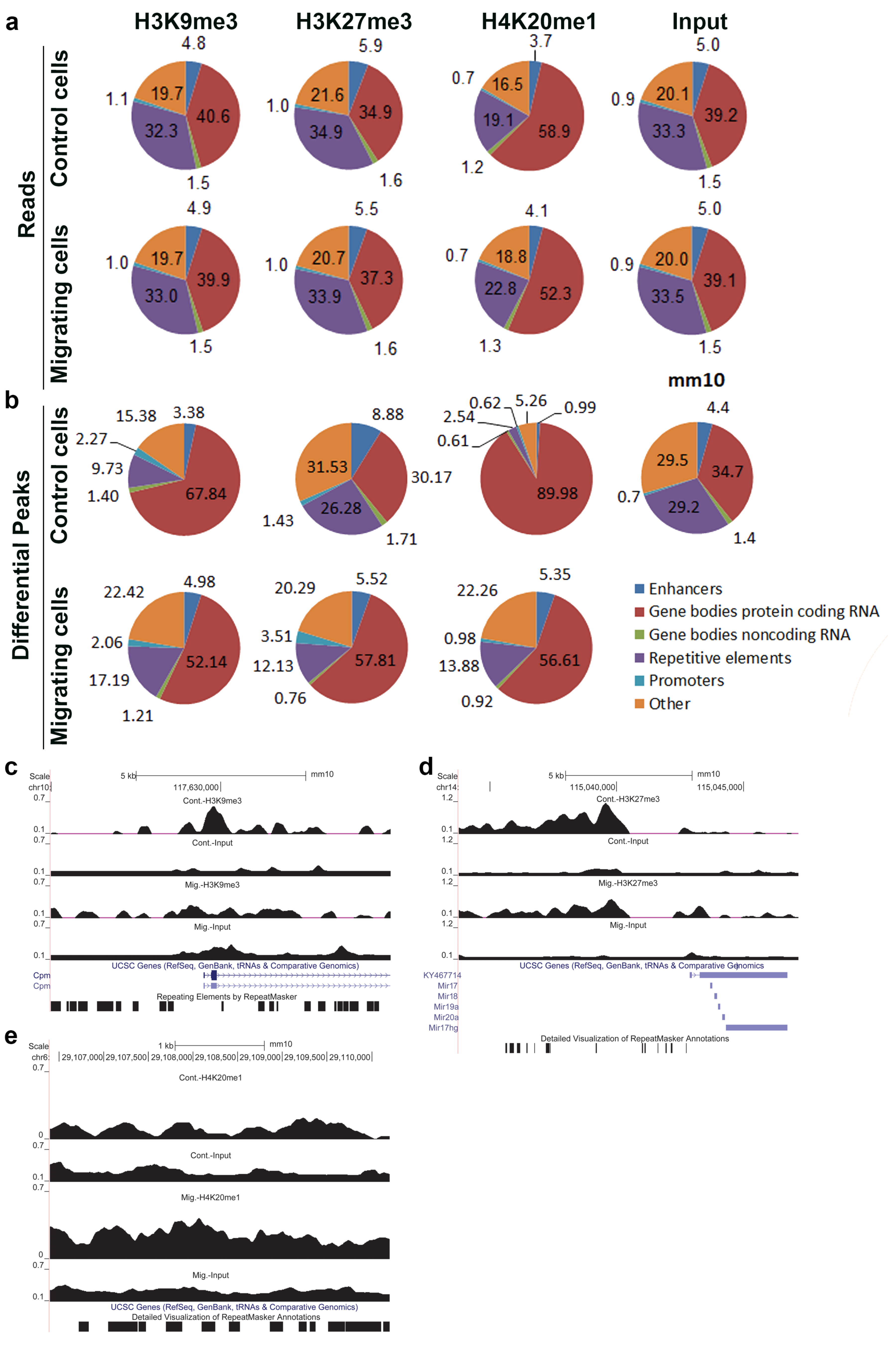 Cells 07 00205 g002 Cells 07 00205 g002