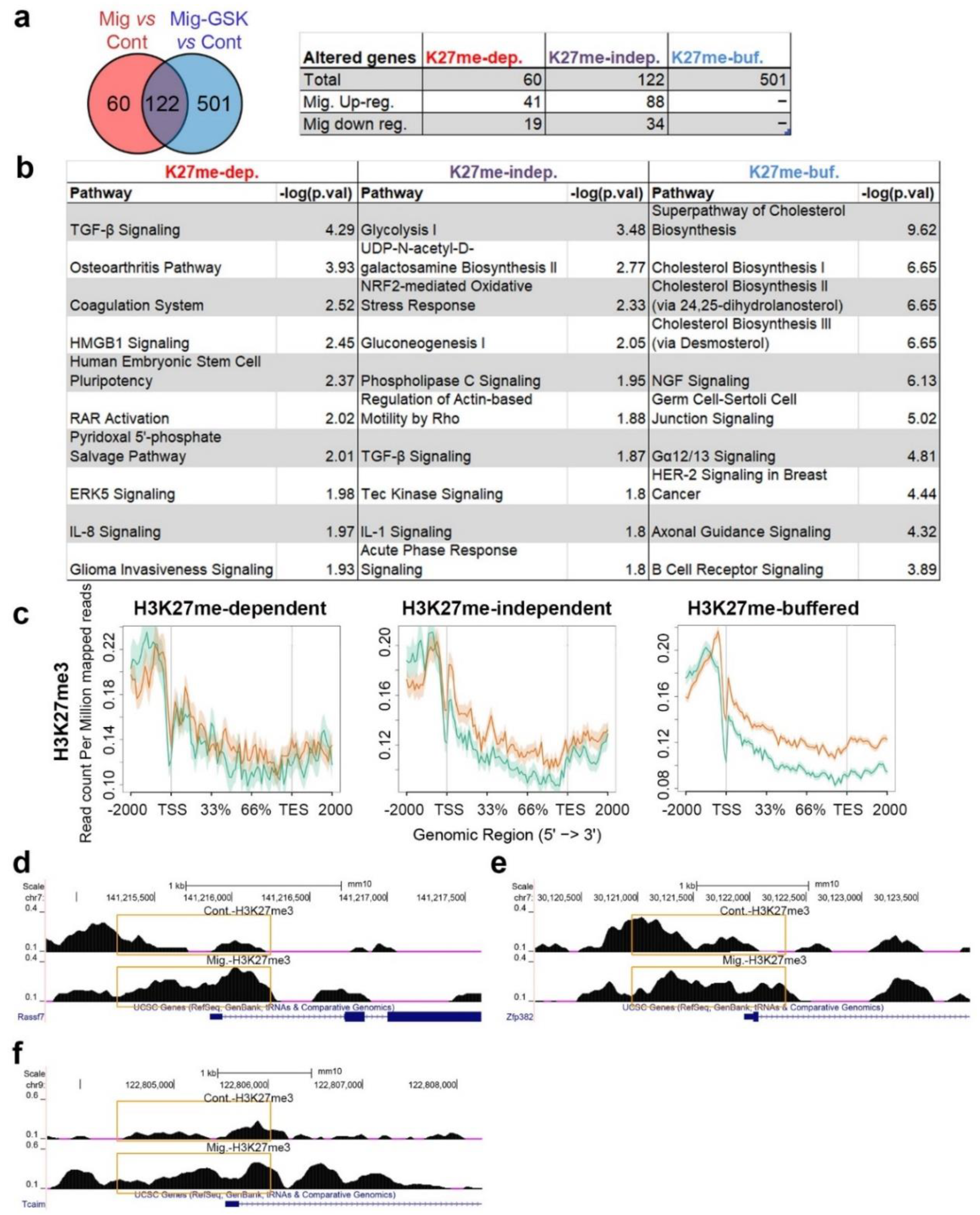 Cells 07 00205 g005 Cells 07 00205 g005