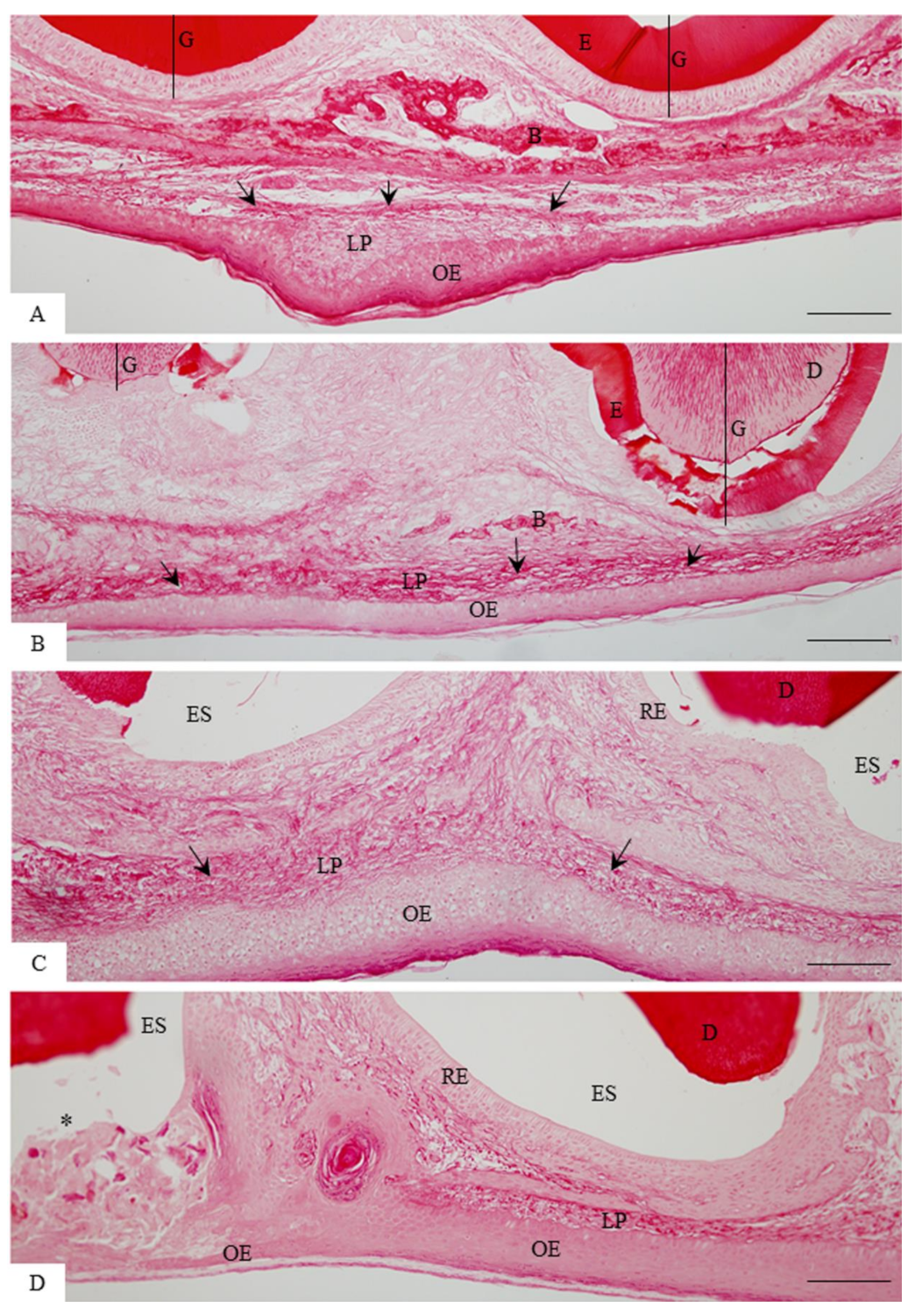 Cells 07 00206 g001
