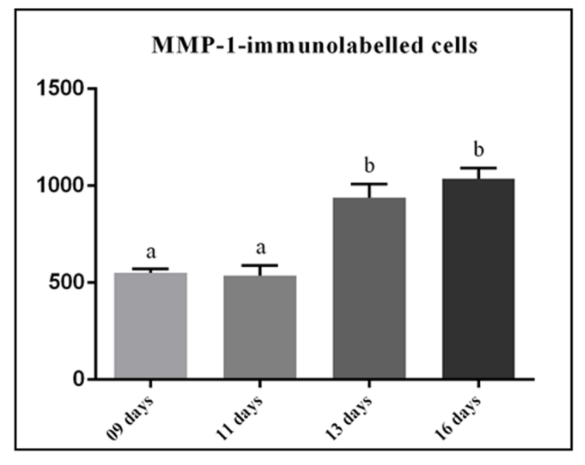 Cells 07 00206 g006