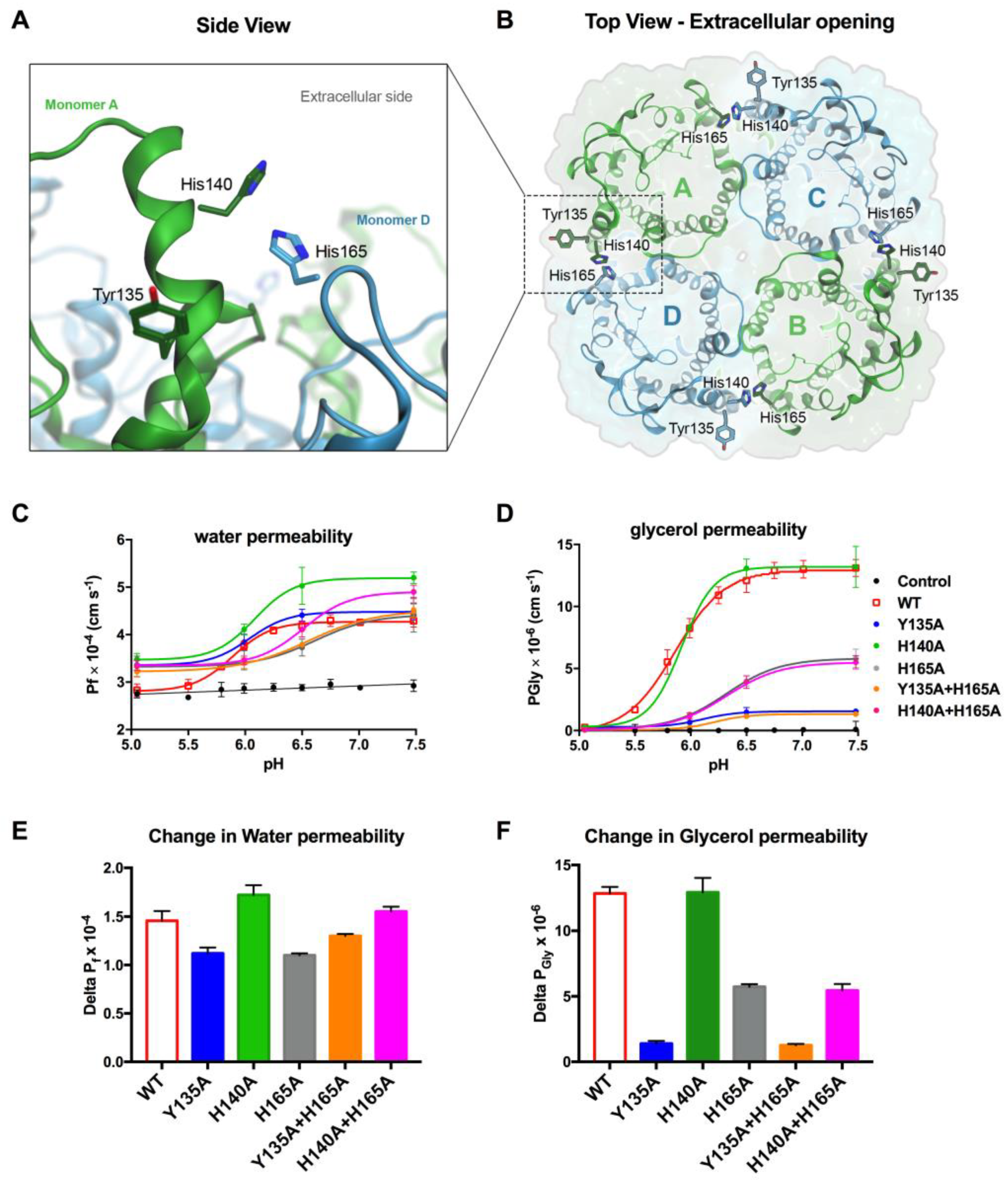 Cells 07 00207 g005 Cells 07 00207 g005