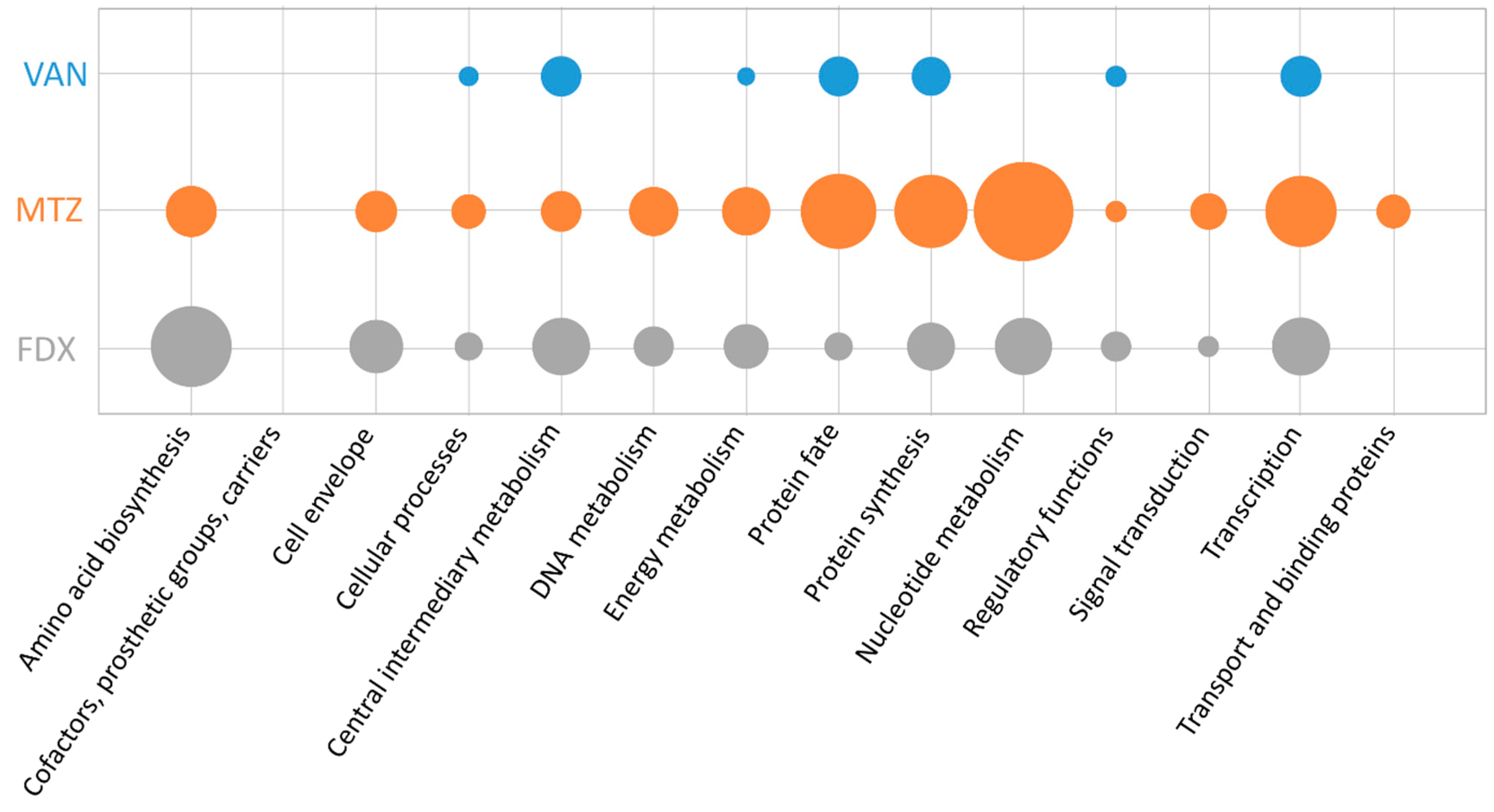 Cells 07 00213 g003 Cells 07 00213 g003