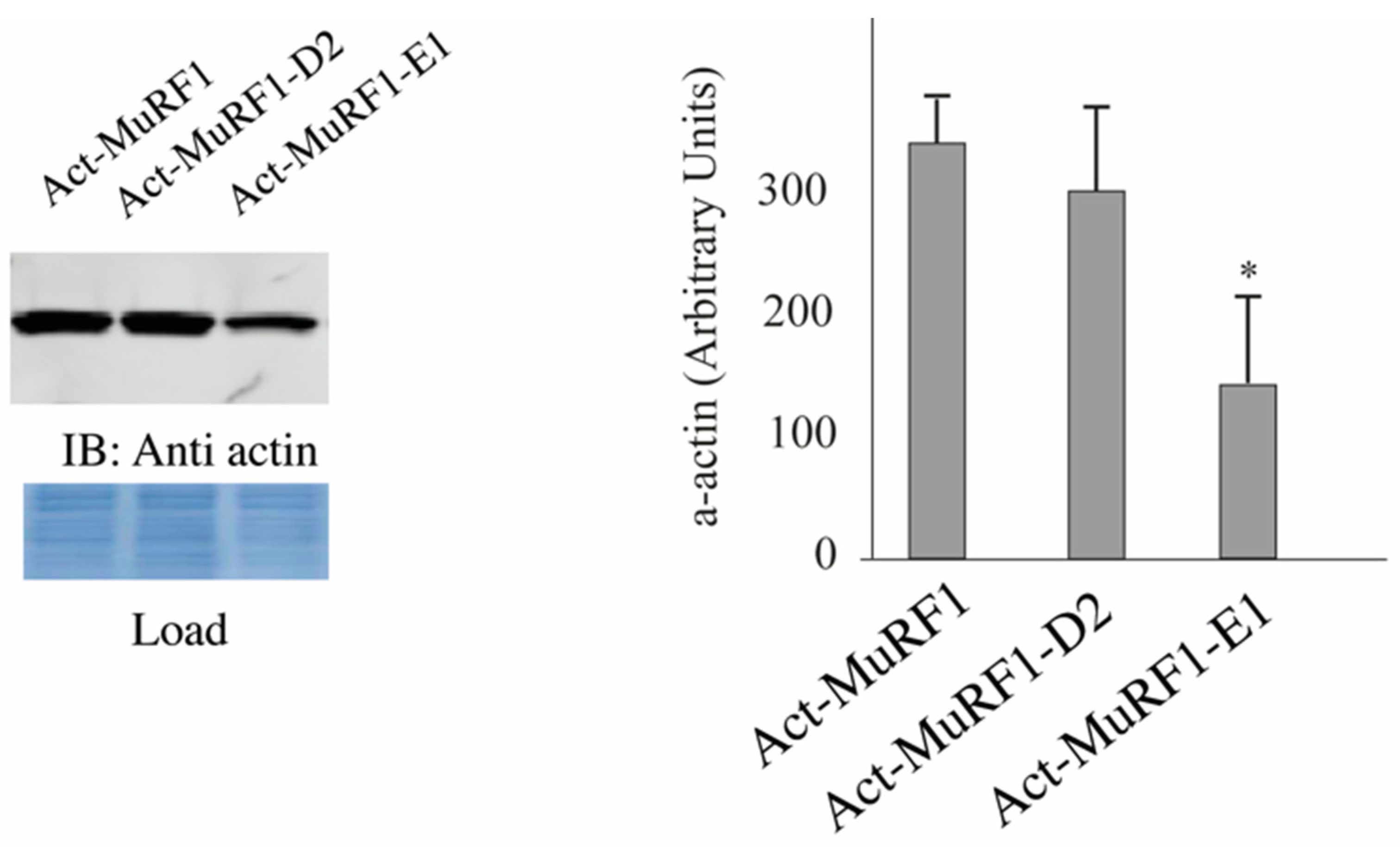 Cells 07 00214 g002 Cells 07 00214 g002