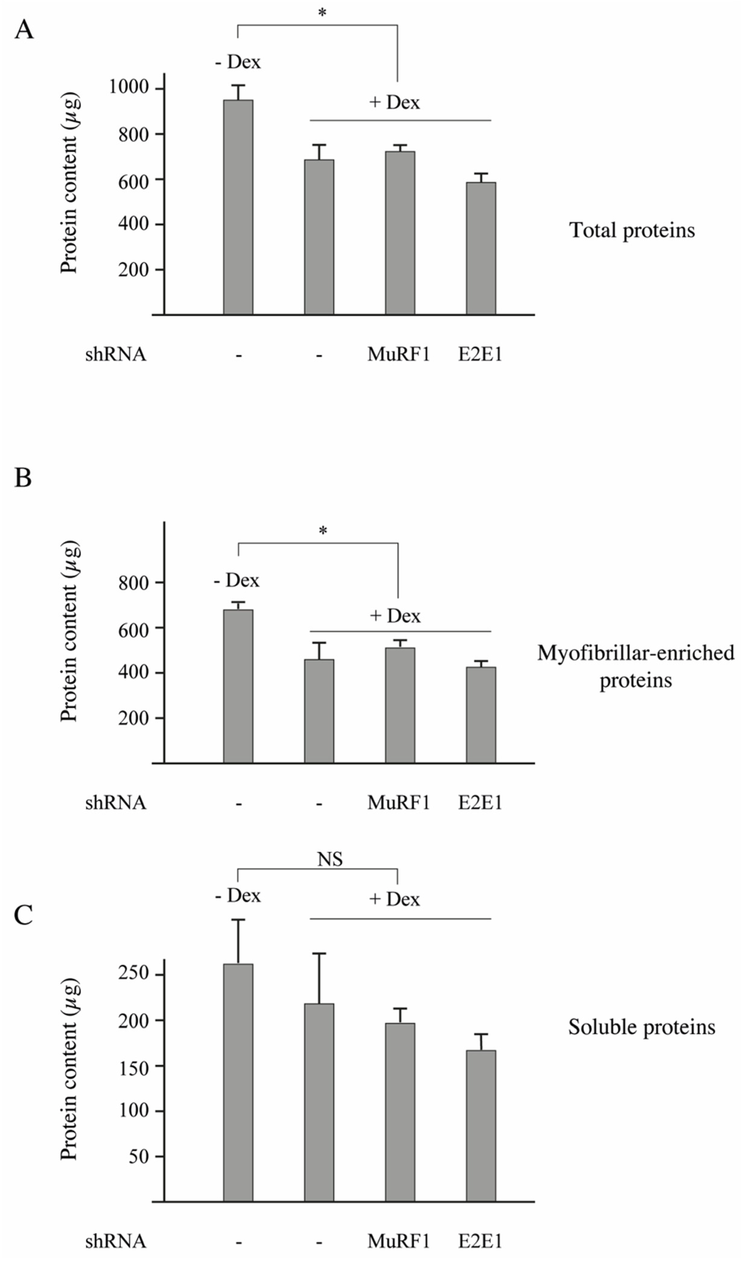 Cells 07 00214 g004 Cells 07 00214 g004