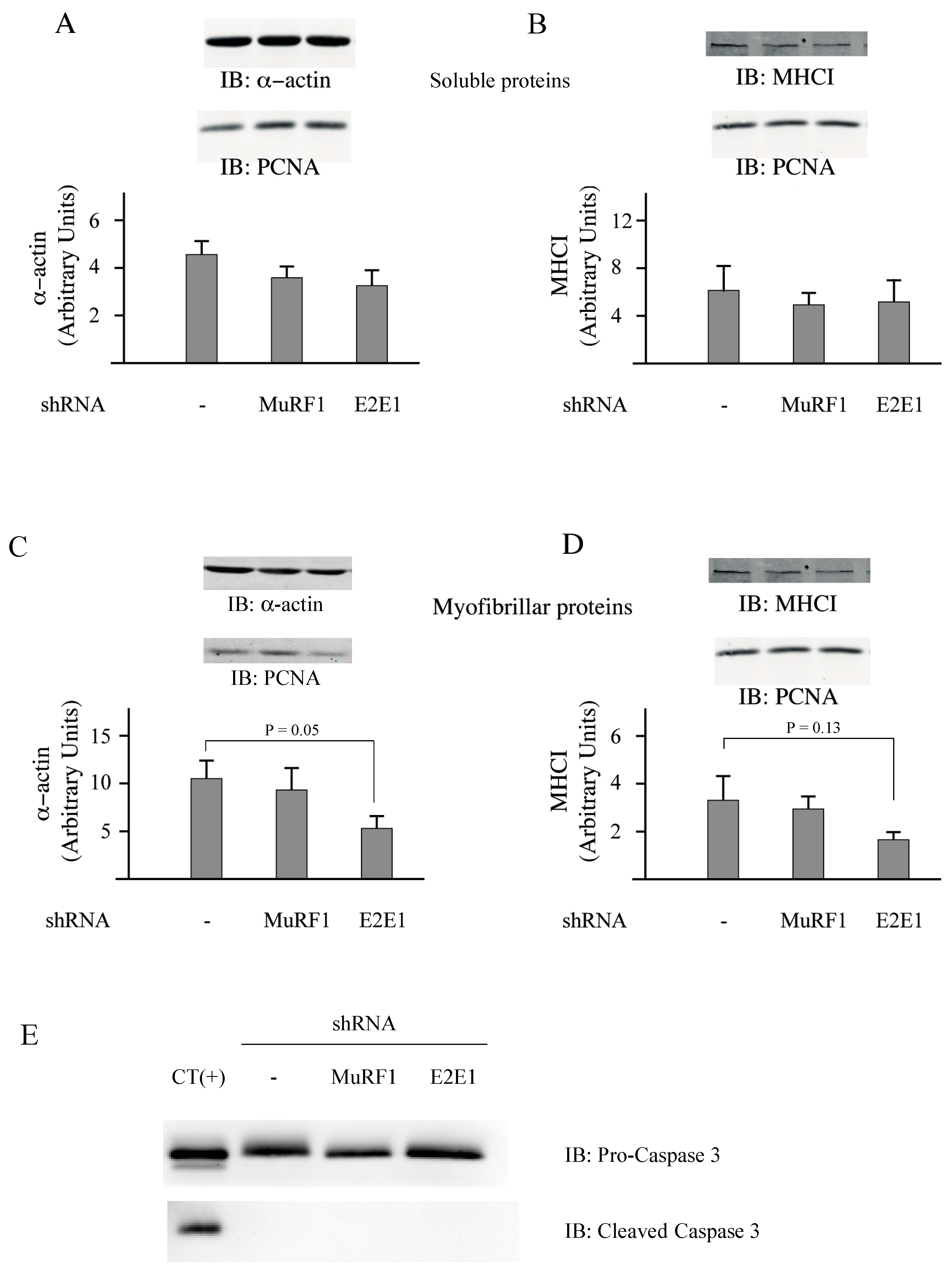 Cells 07 00214 g005 Cells 07 00214 g005