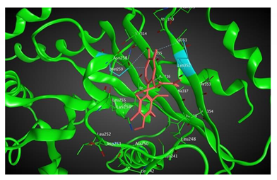 Cells 07 00216 i002 Cells 07 00216 i002