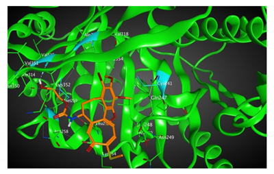 Cells 07 00216 i005 Cells 07 00216 i005