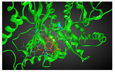 Cells 07 00216 i008 Cells 07 00216 i008