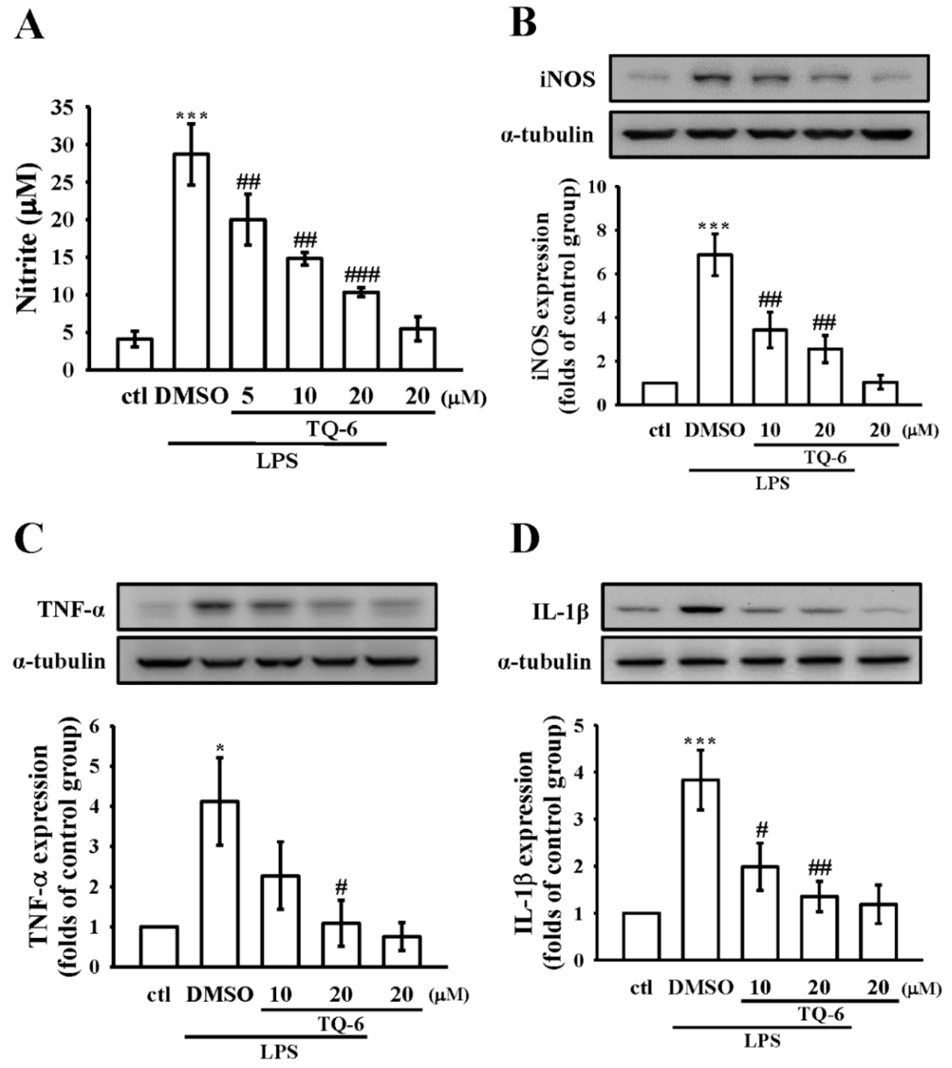 Cells 07 00217 g002 Cells 07 00217 g002