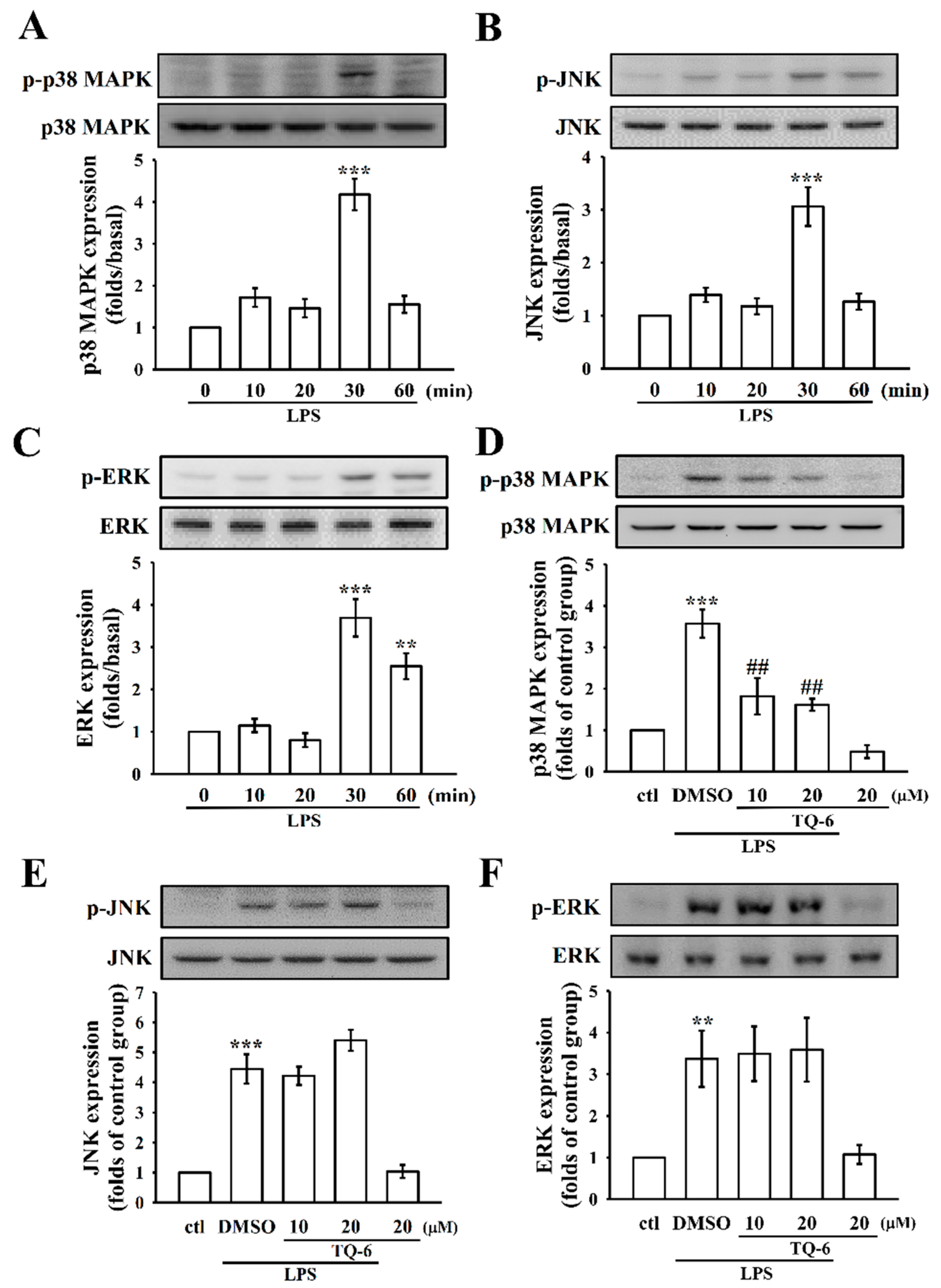 Cells 07 00217 g003 Cells 07 00217 g003