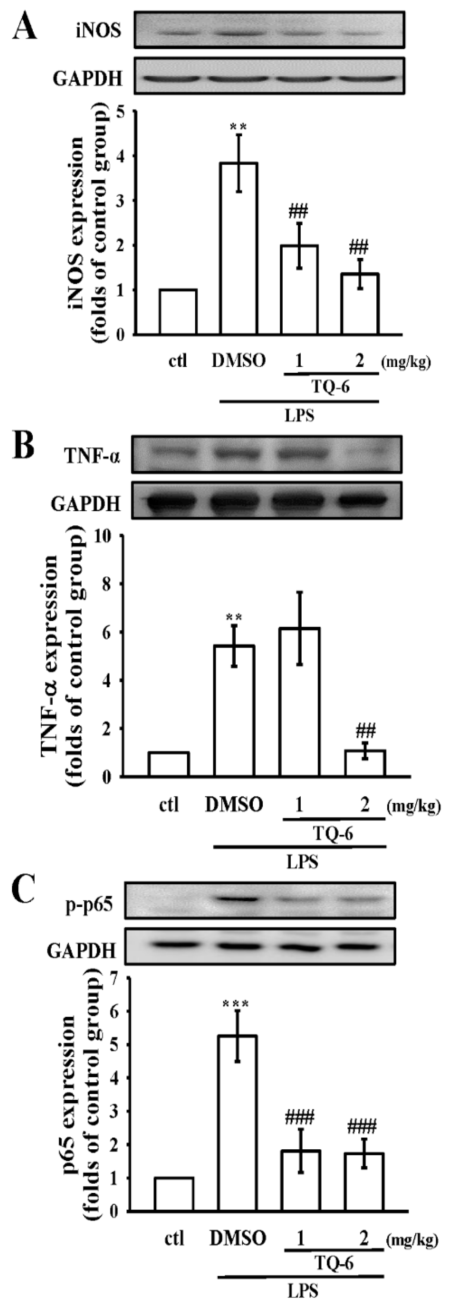 Cells 07 00217 g006 Cells 07 00217 g006