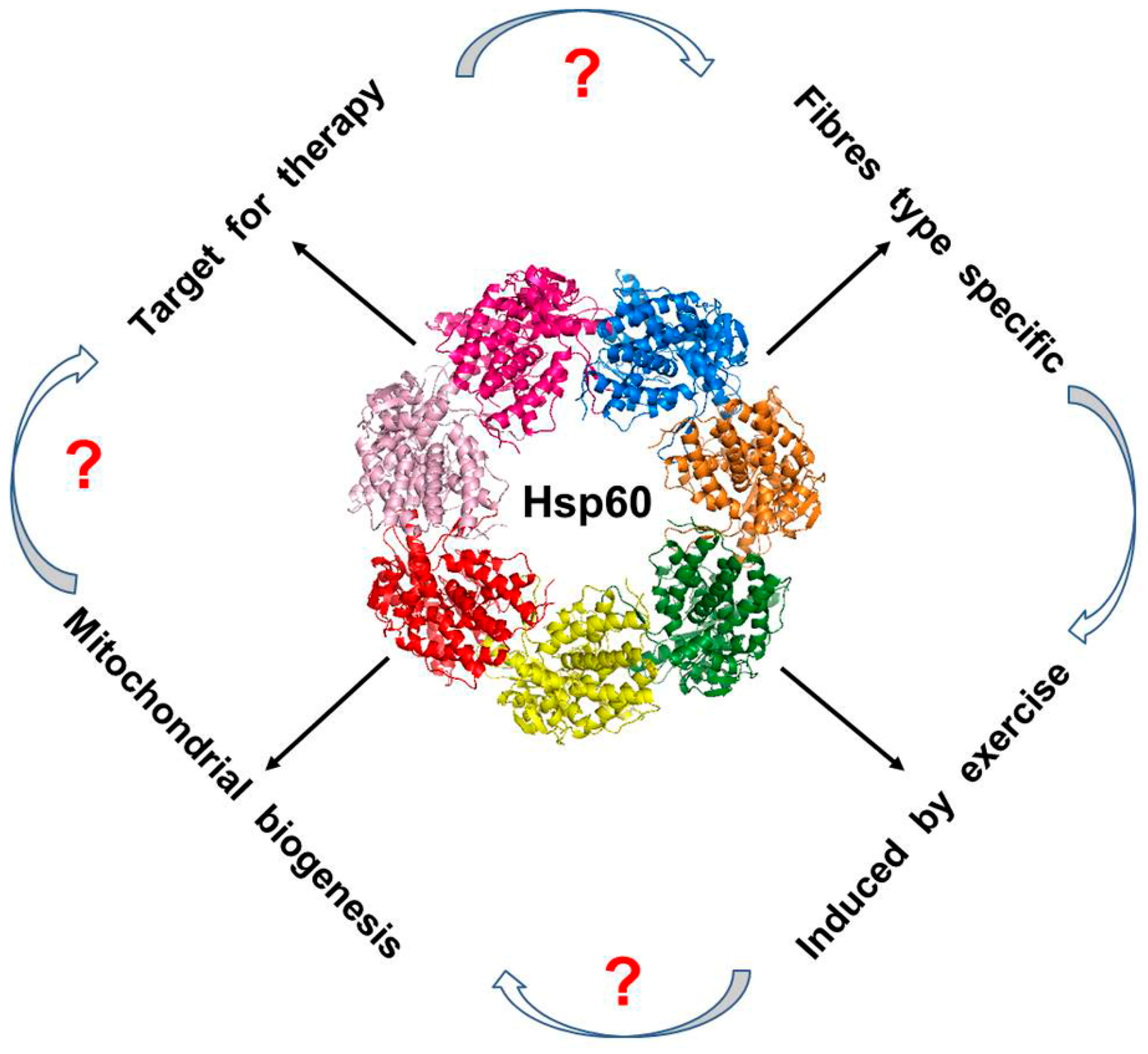 Cells 07 00224 g003 Cells 07 00224 g003