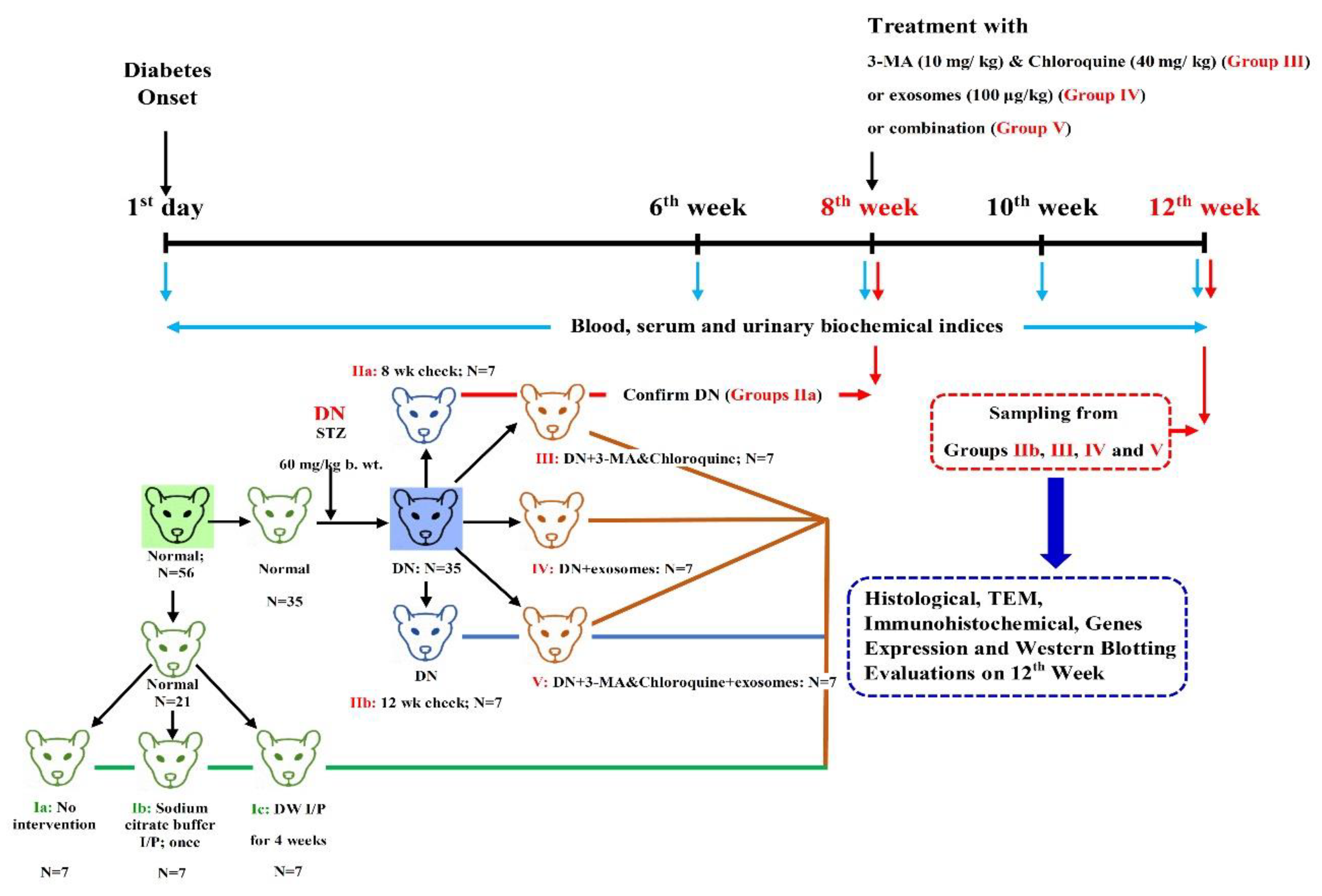 Cells 07 00226 g001 Cells 07 00226 g001