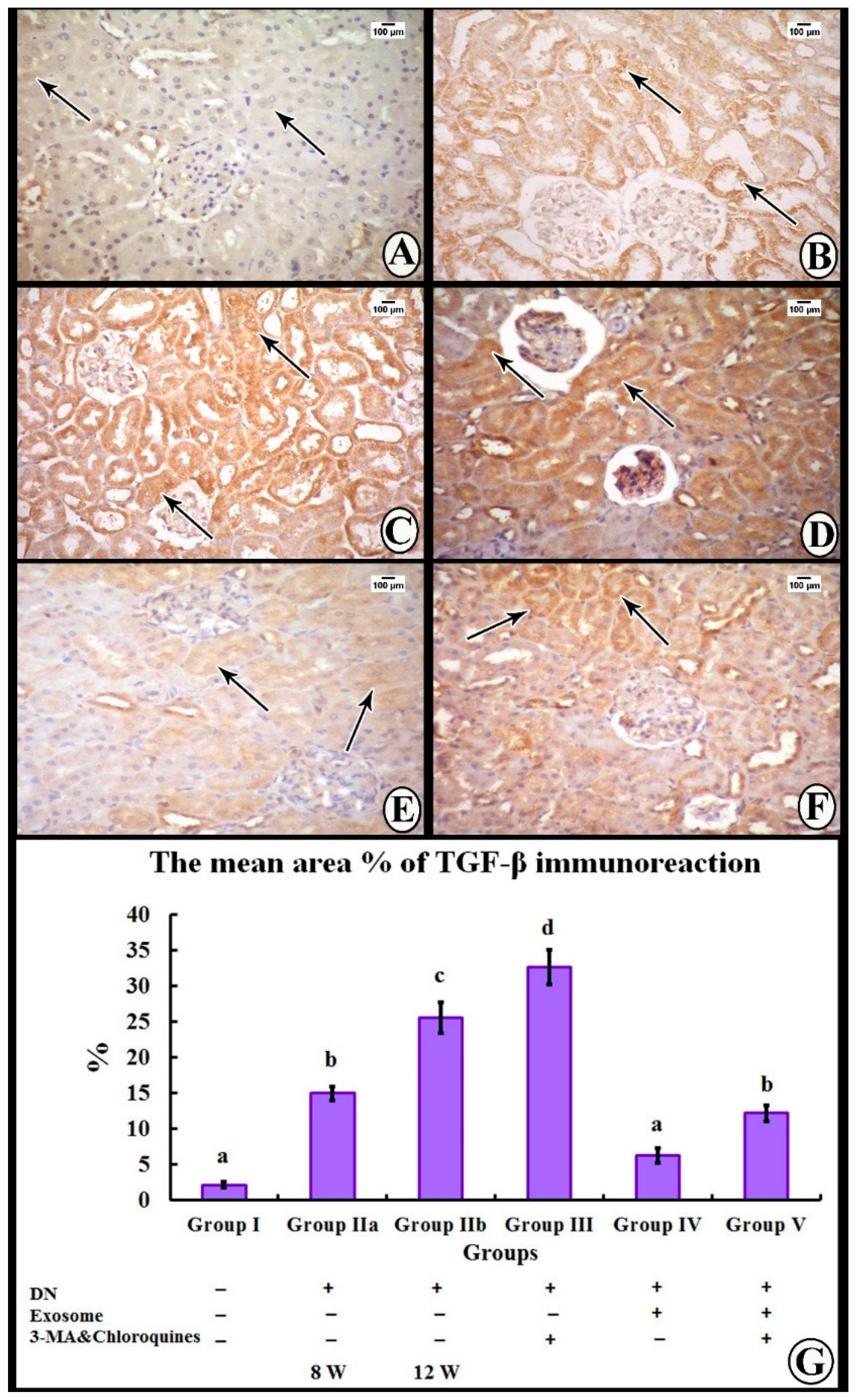 Cells 07 00226 g006 Cells 07 00226 g006
