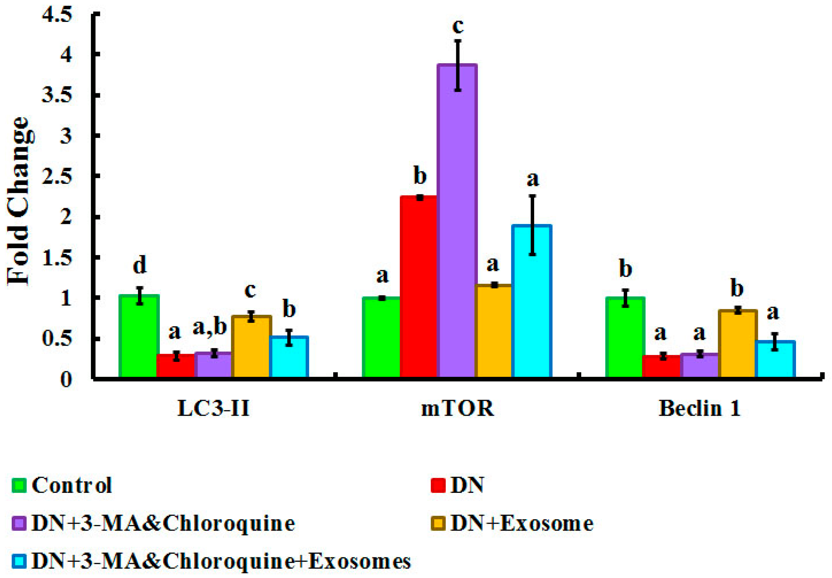 Cells 07 00226 g009 Cells 07 00226 g009