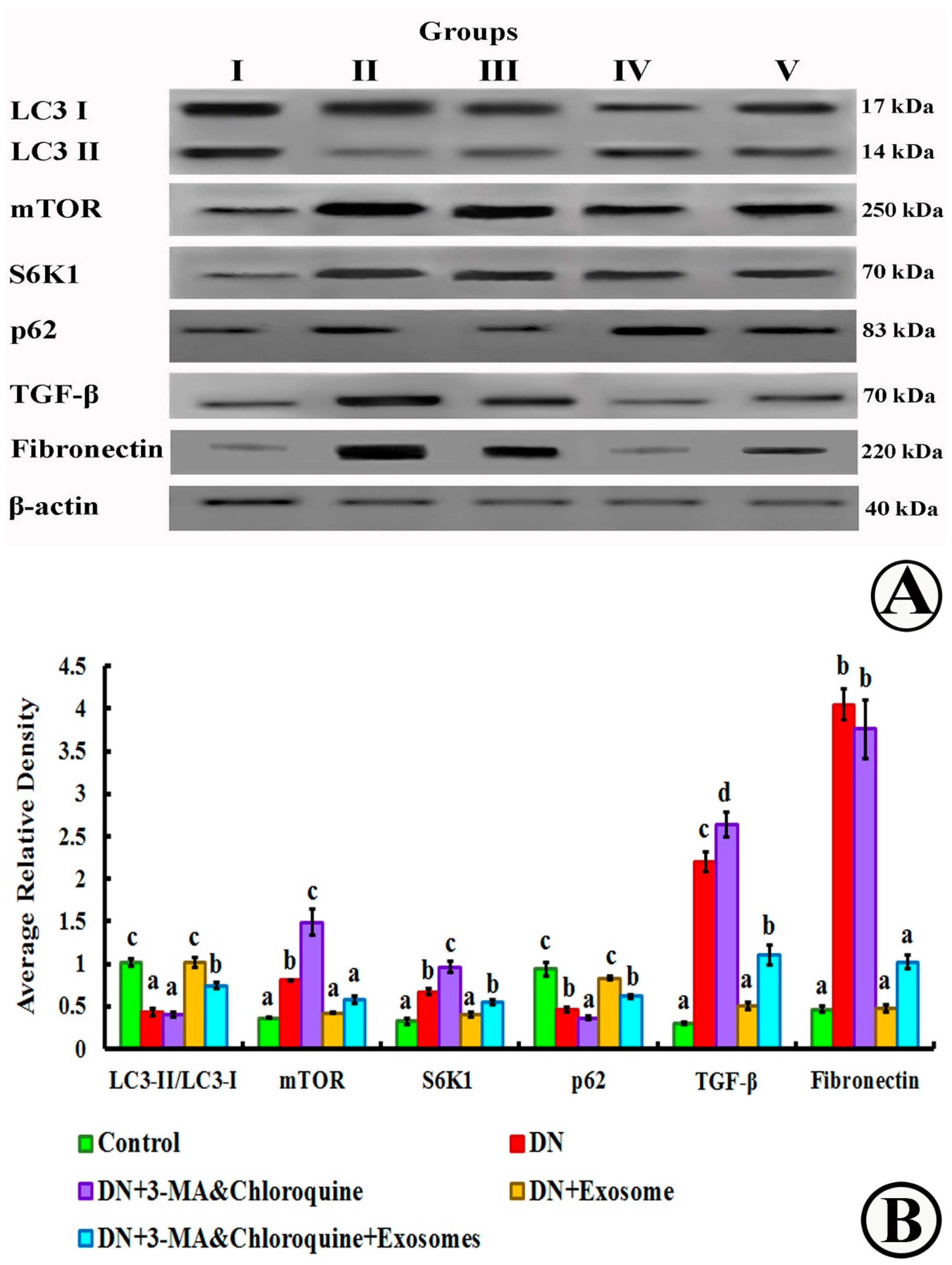 Cells 07 00226 g010 Cells 07 00226 g010