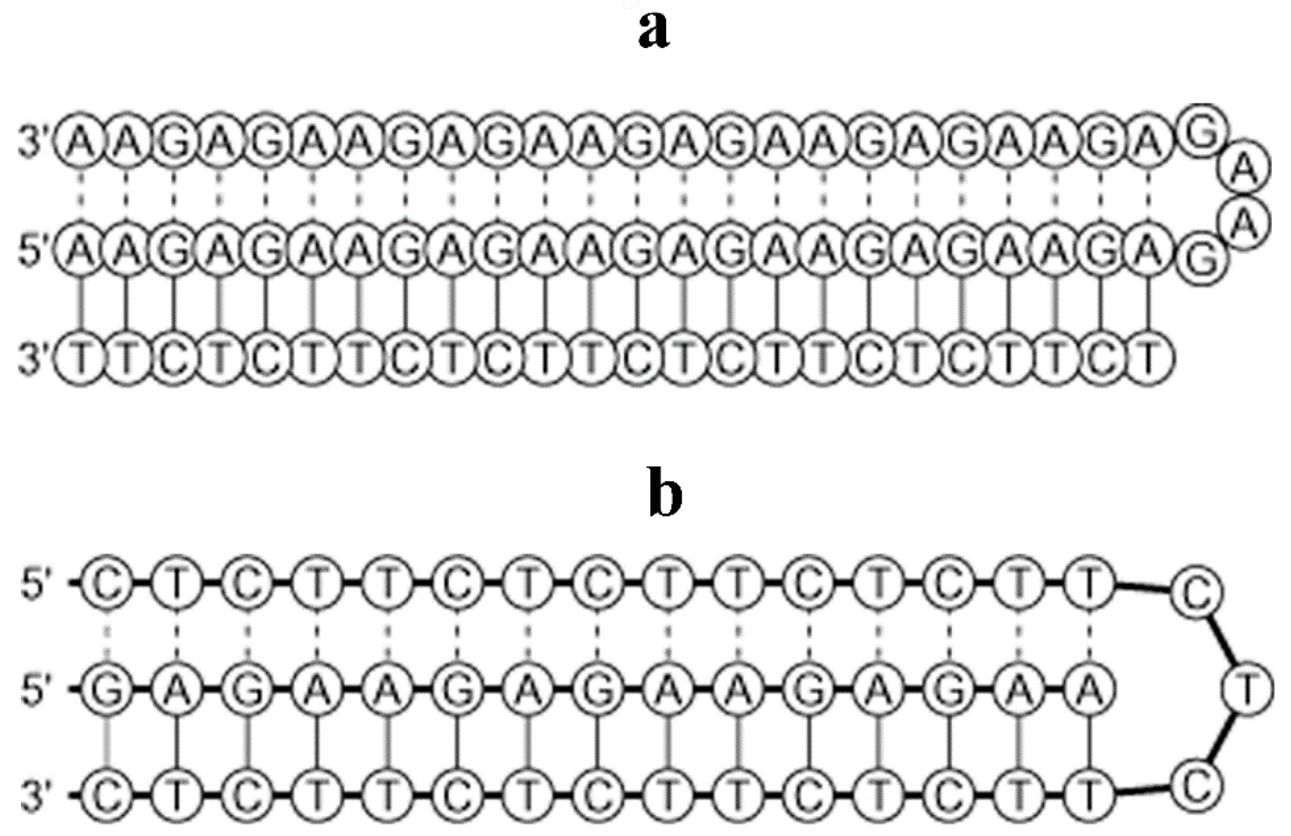Cells 07 00227 g006 Cells 07 00227 g006