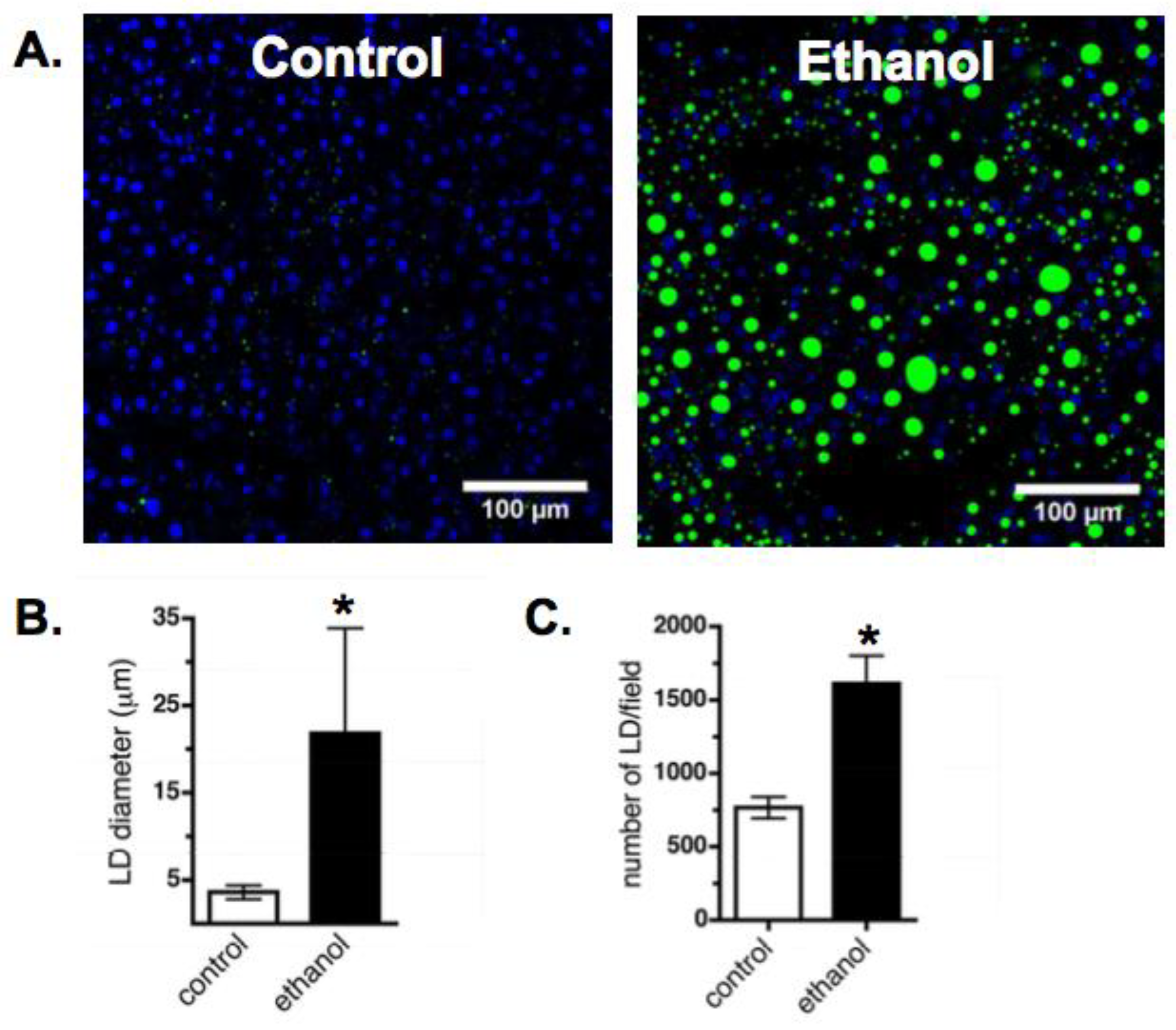 Cells 07 00230 g001 Cells 07 00230 g001