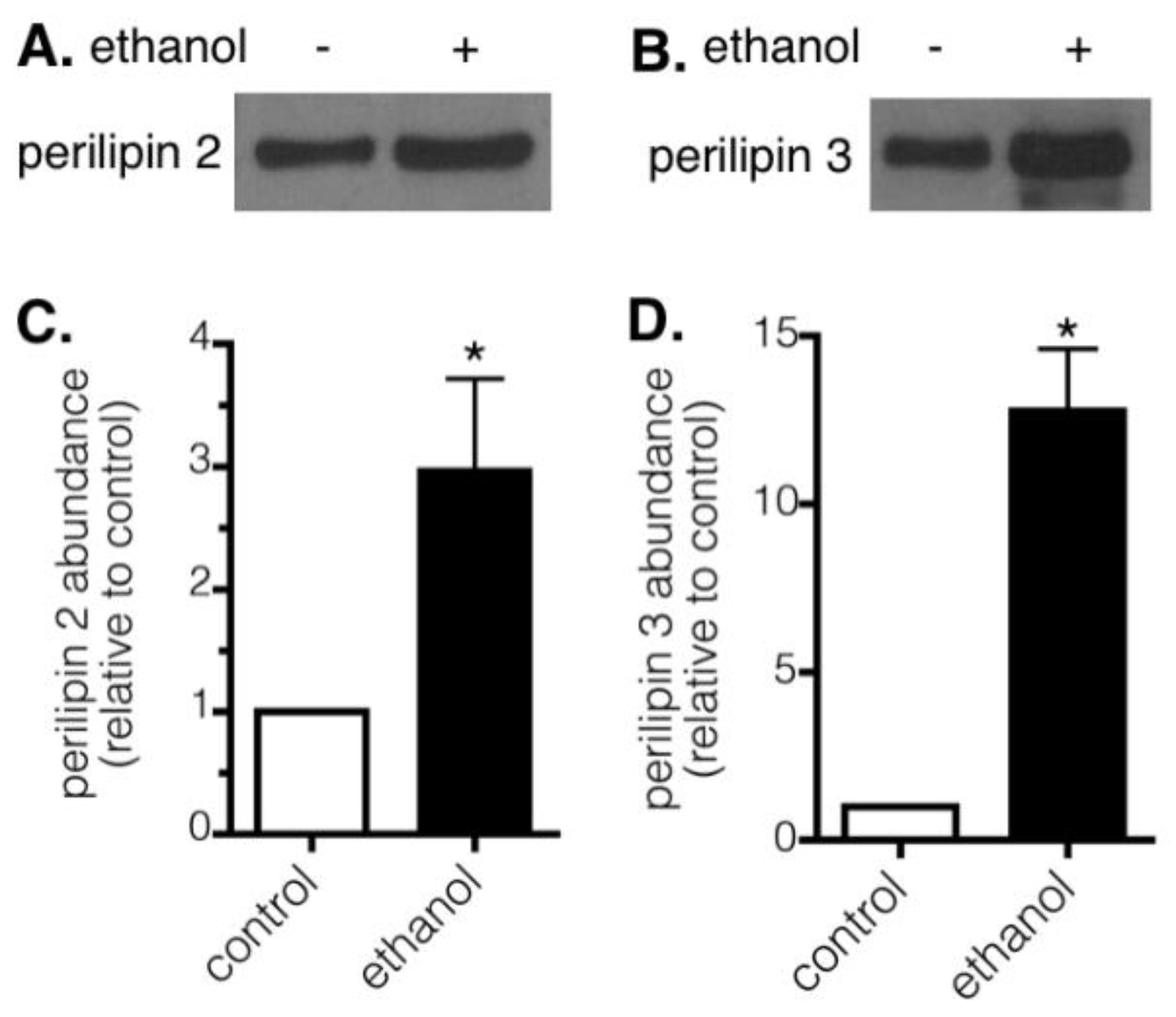 Cells 07 00230 g004 Cells 07 00230 g004