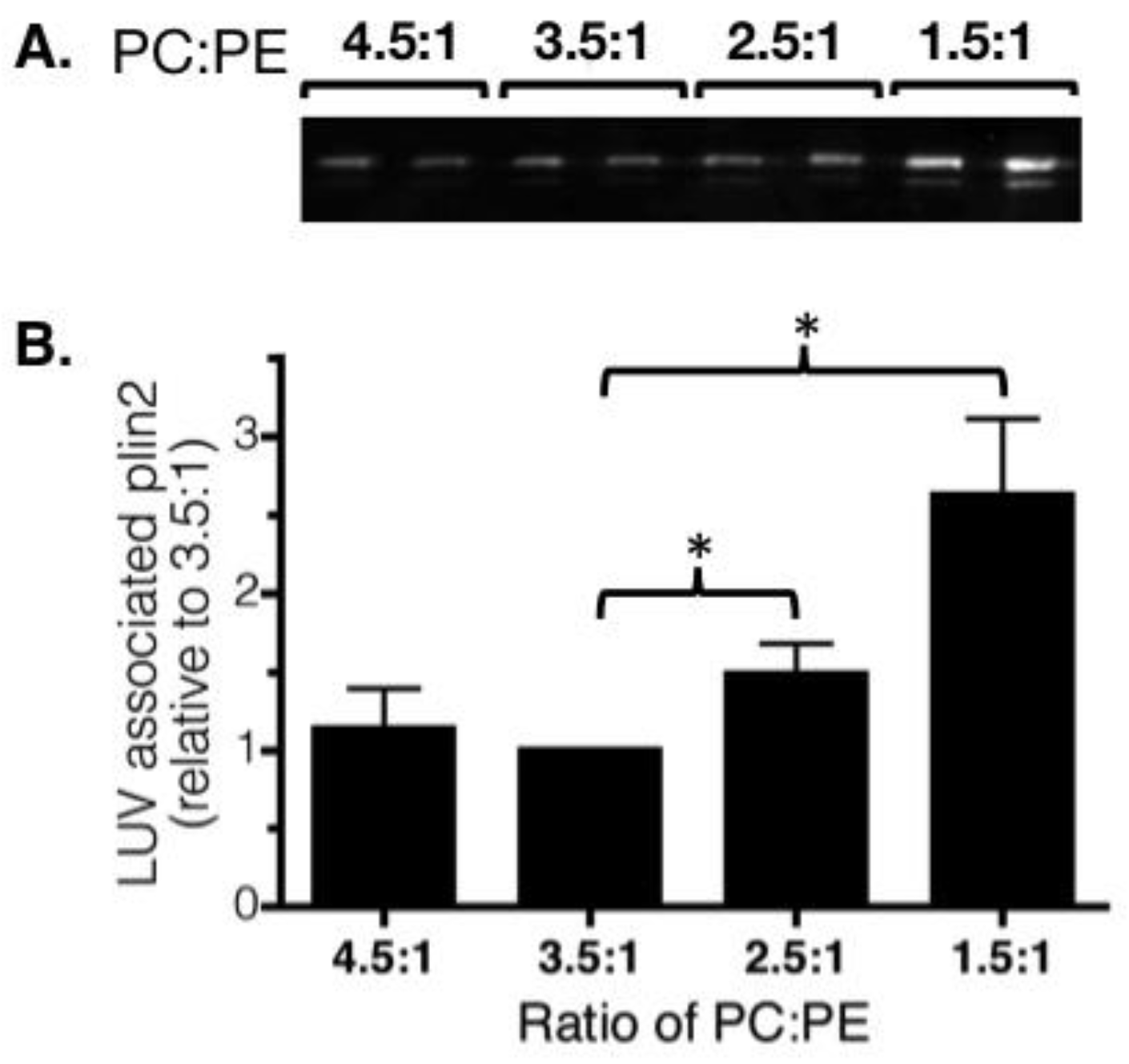 Cells 07 00230 g005 Cells 07 00230 g005