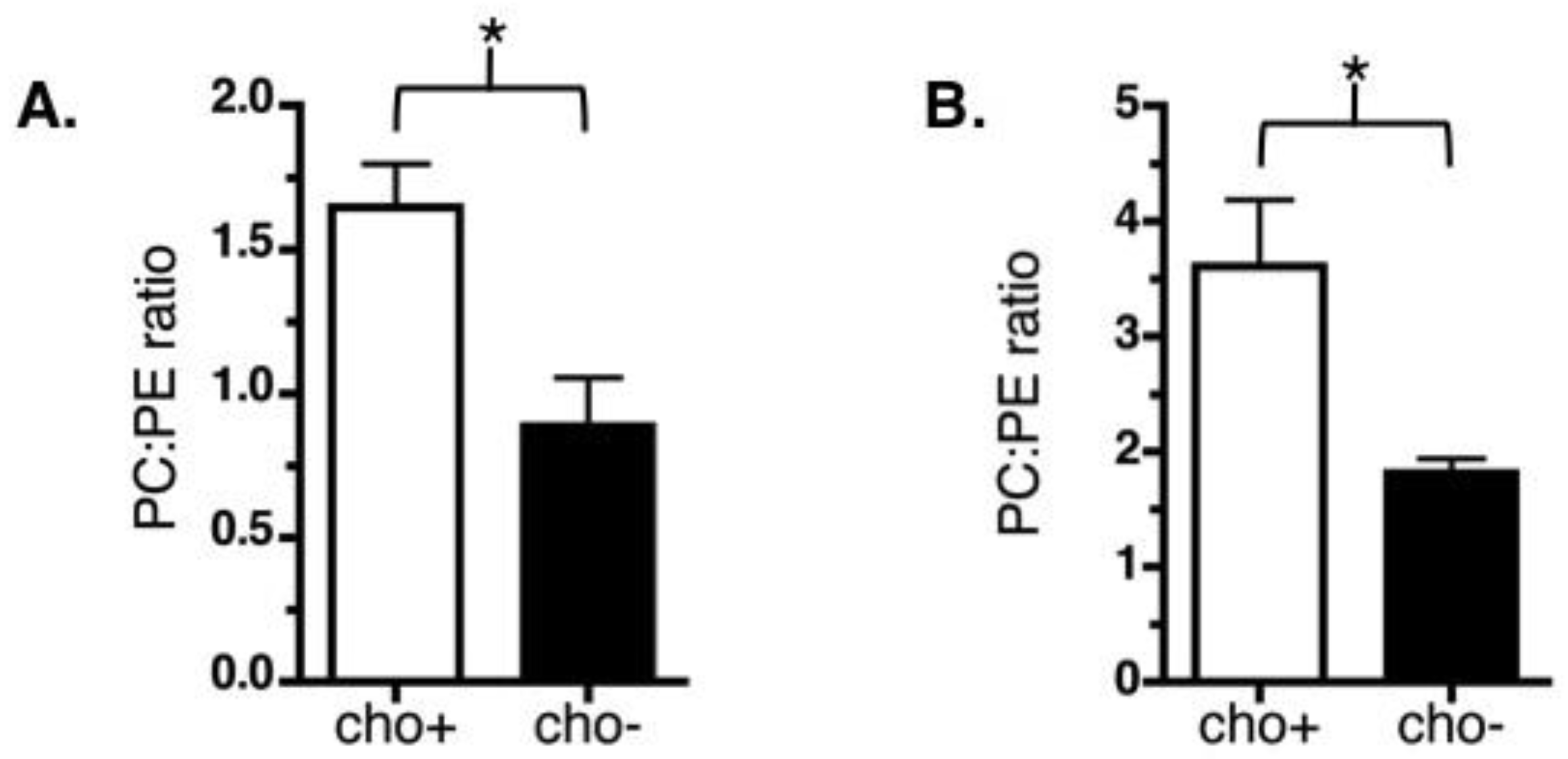 Cells 07 00230 g006 Cells 07 00230 g006