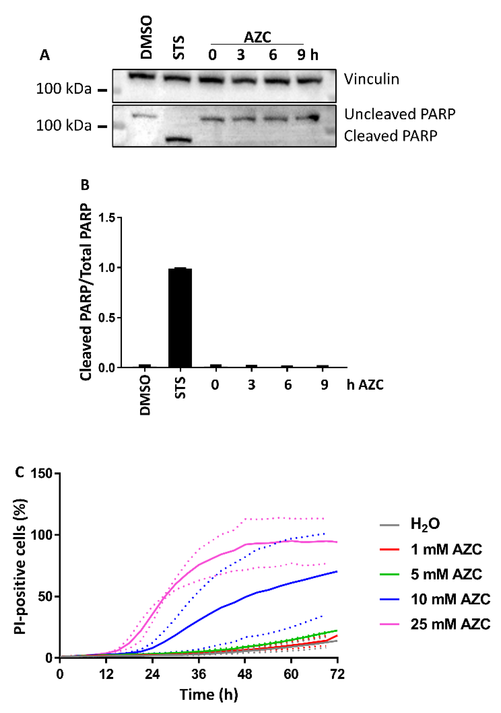 Cells 07 00239 g002 Cells 07 00239 g002