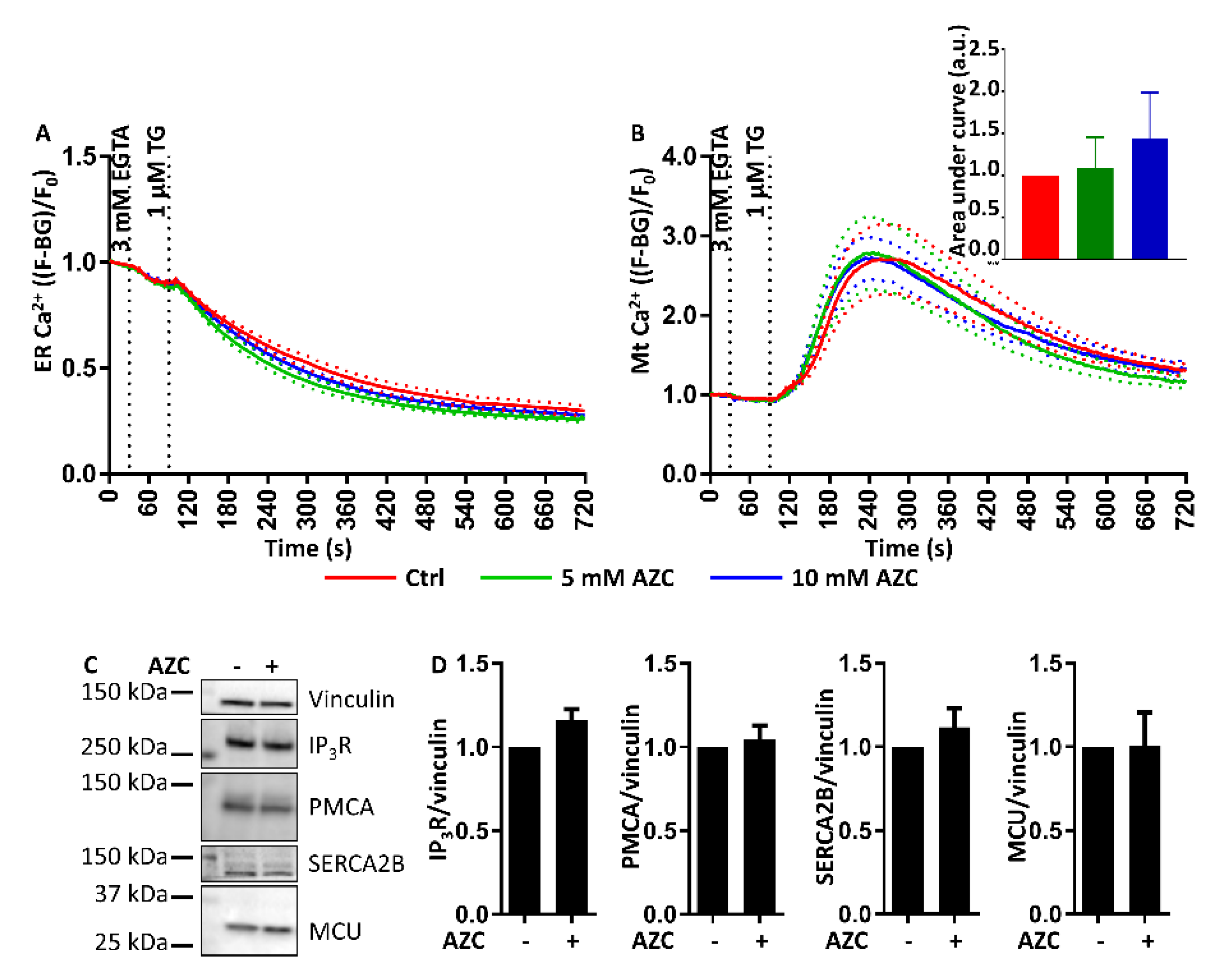 Cells 07 00239 g009 Cells 07 00239 g009