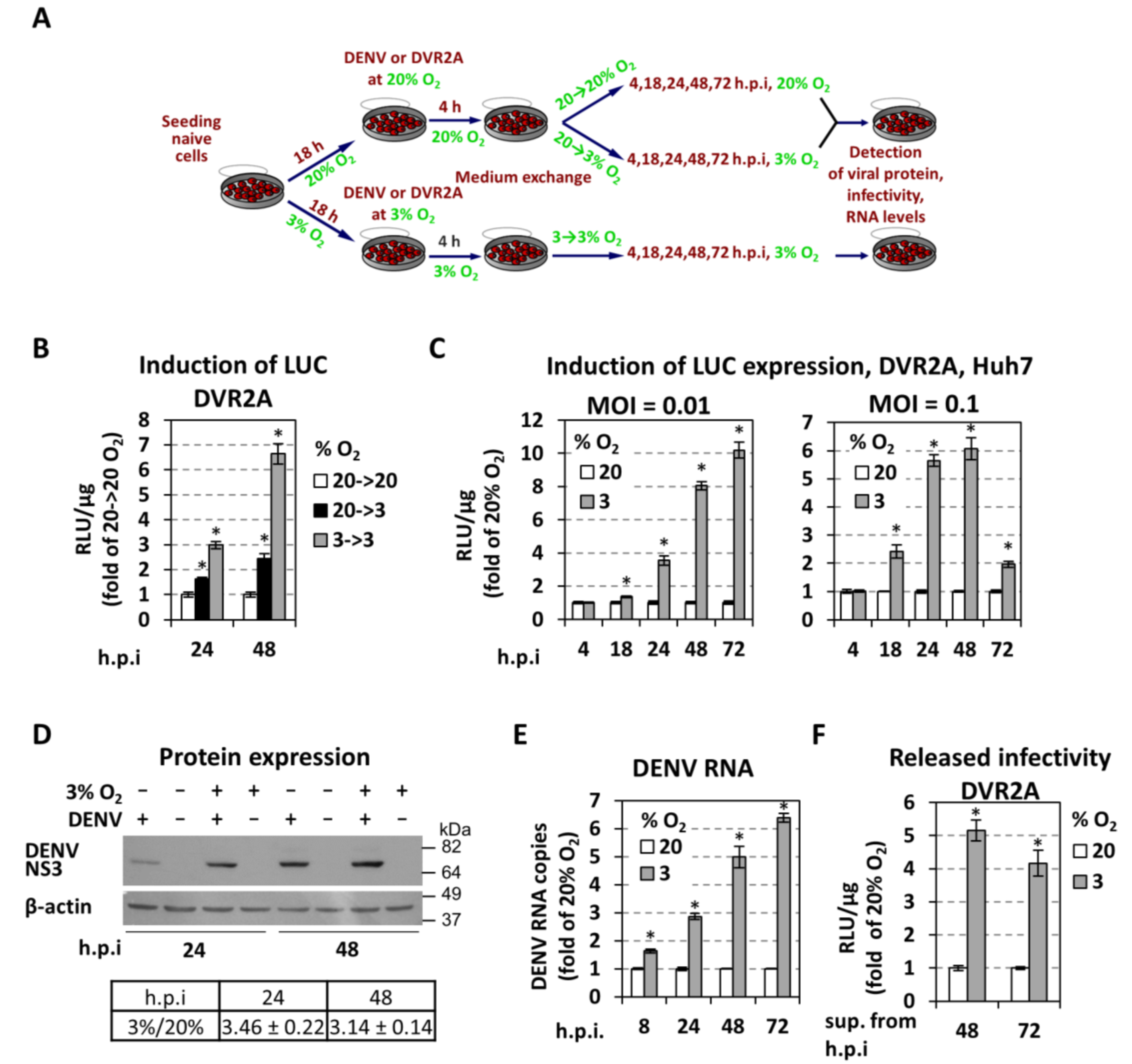 Cells 07 00241 g002 Cells 07 00241 g002