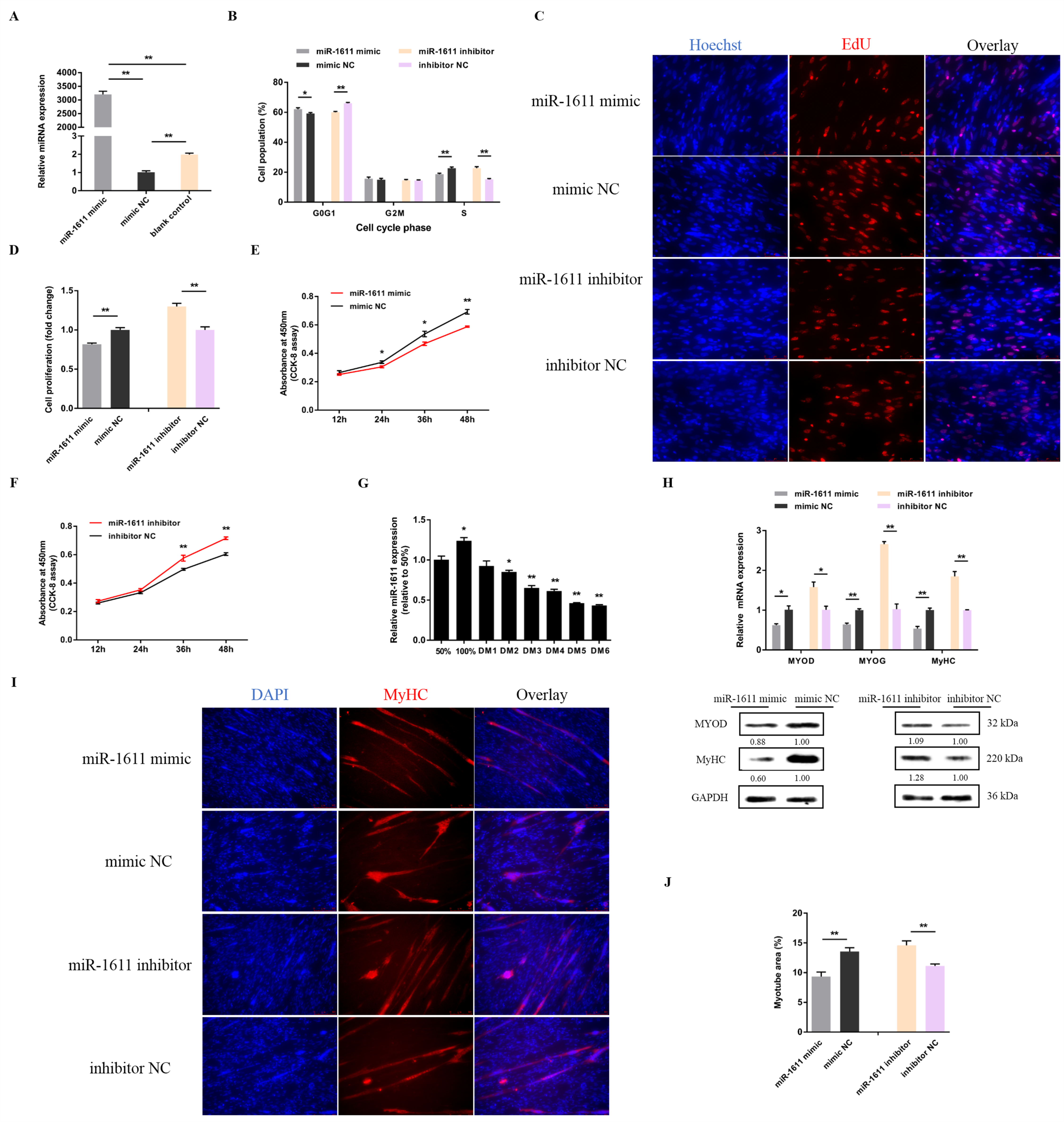 Cells 07 00243 g001 Cells 07 00243 g001