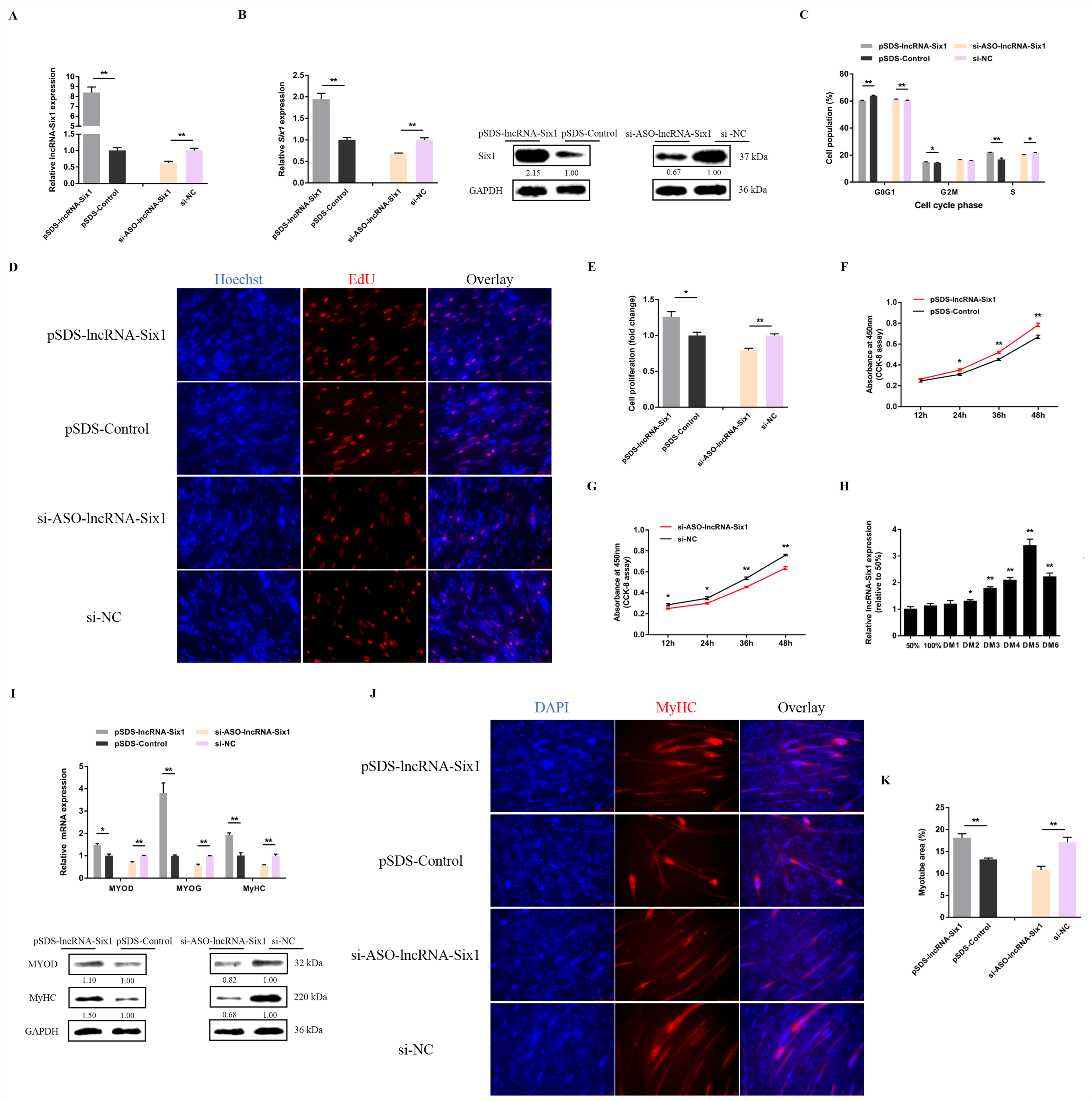 Cells 07 00243 g004 Cells 07 00243 g004