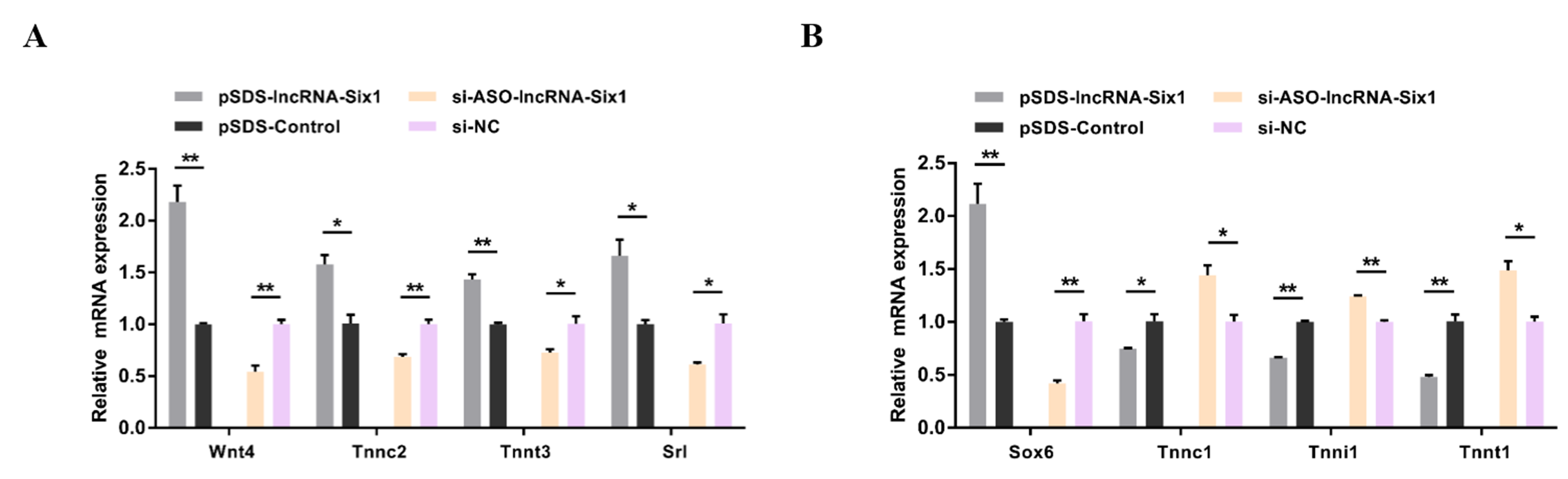 Cells 07 00243 g005 Cells 07 00243 g005