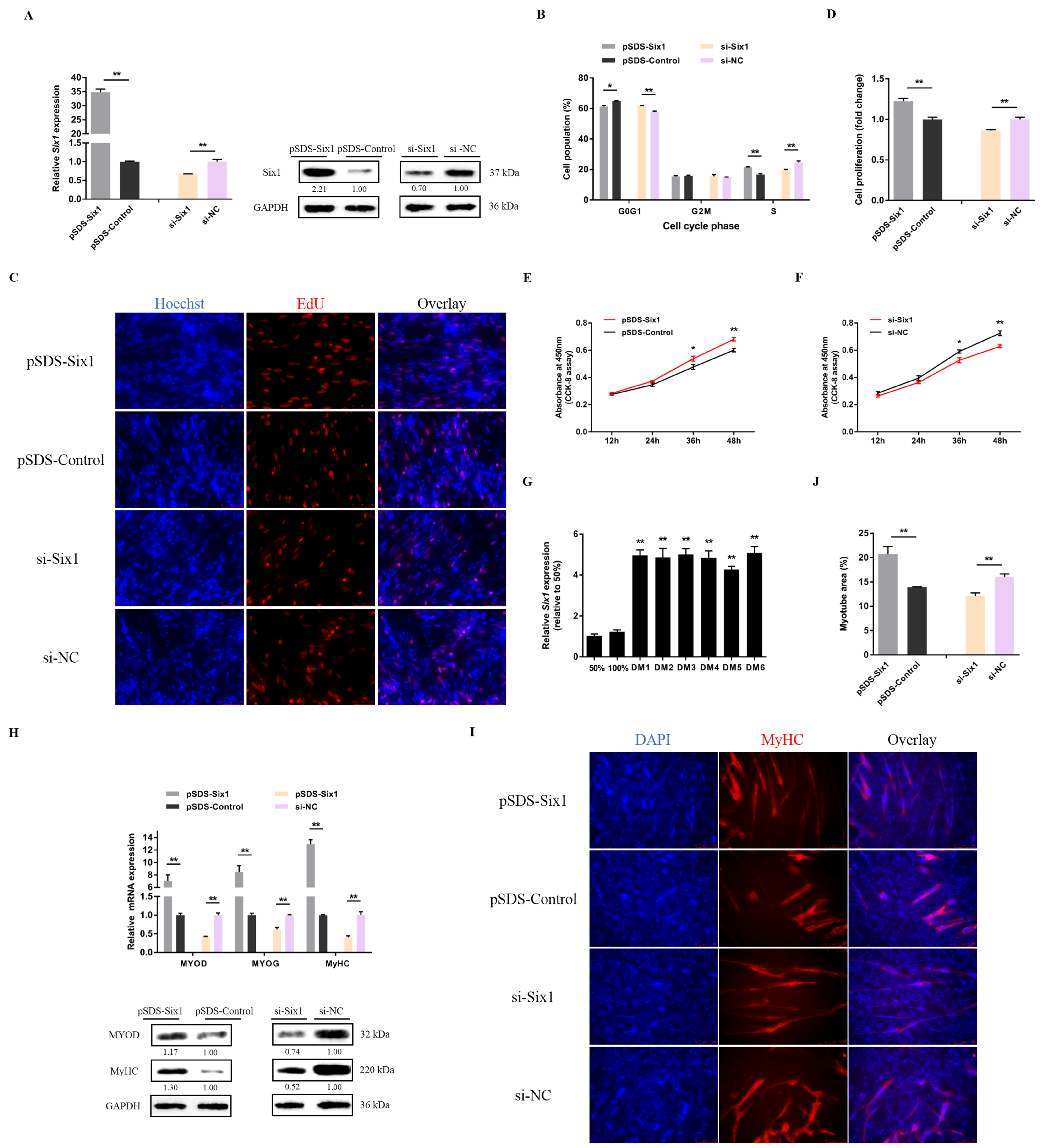 Cells 07 00243 g006 Cells 07 00243 g006