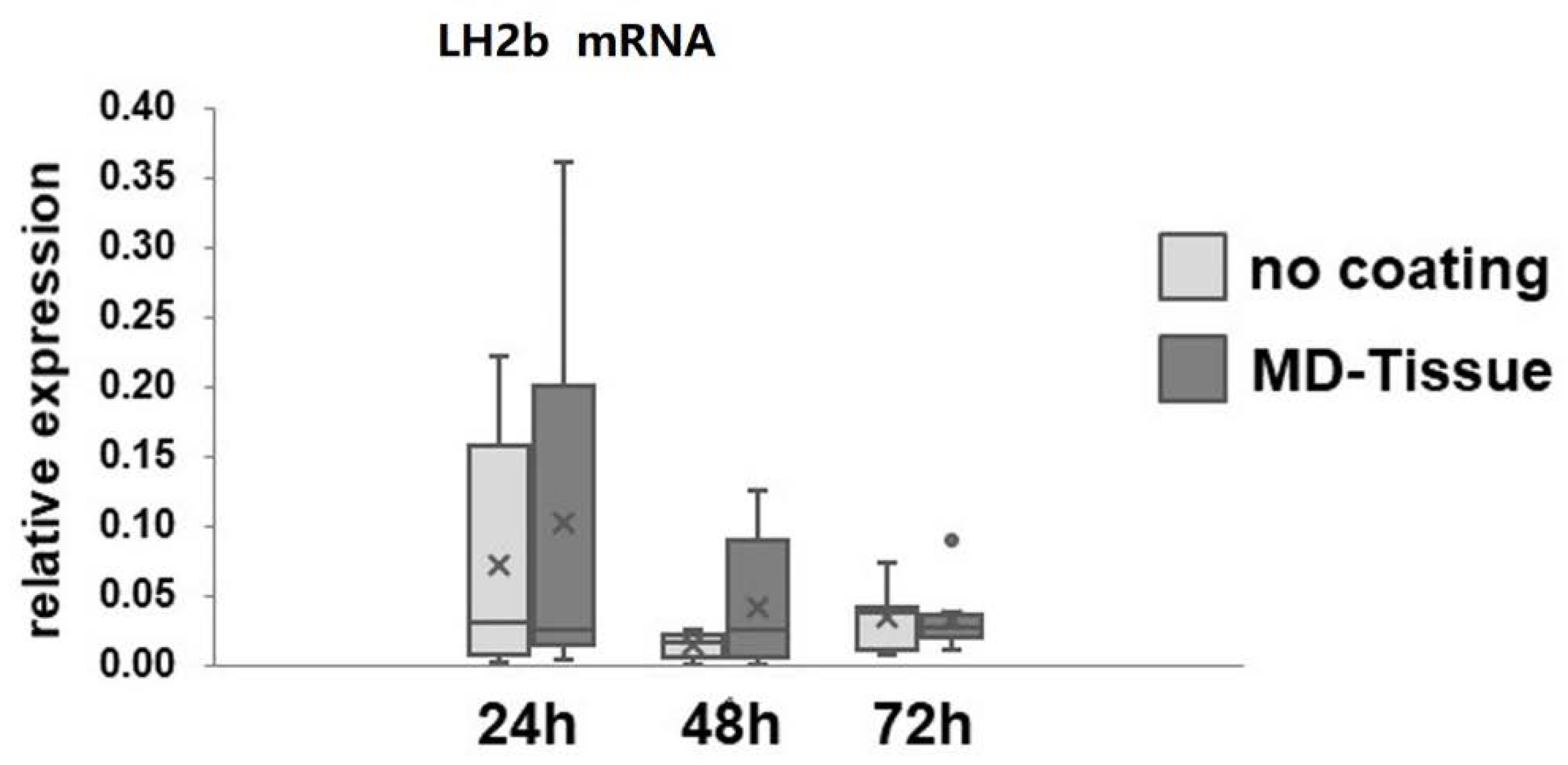 Cells 07 00246 g003 Cells 07 00246 g003