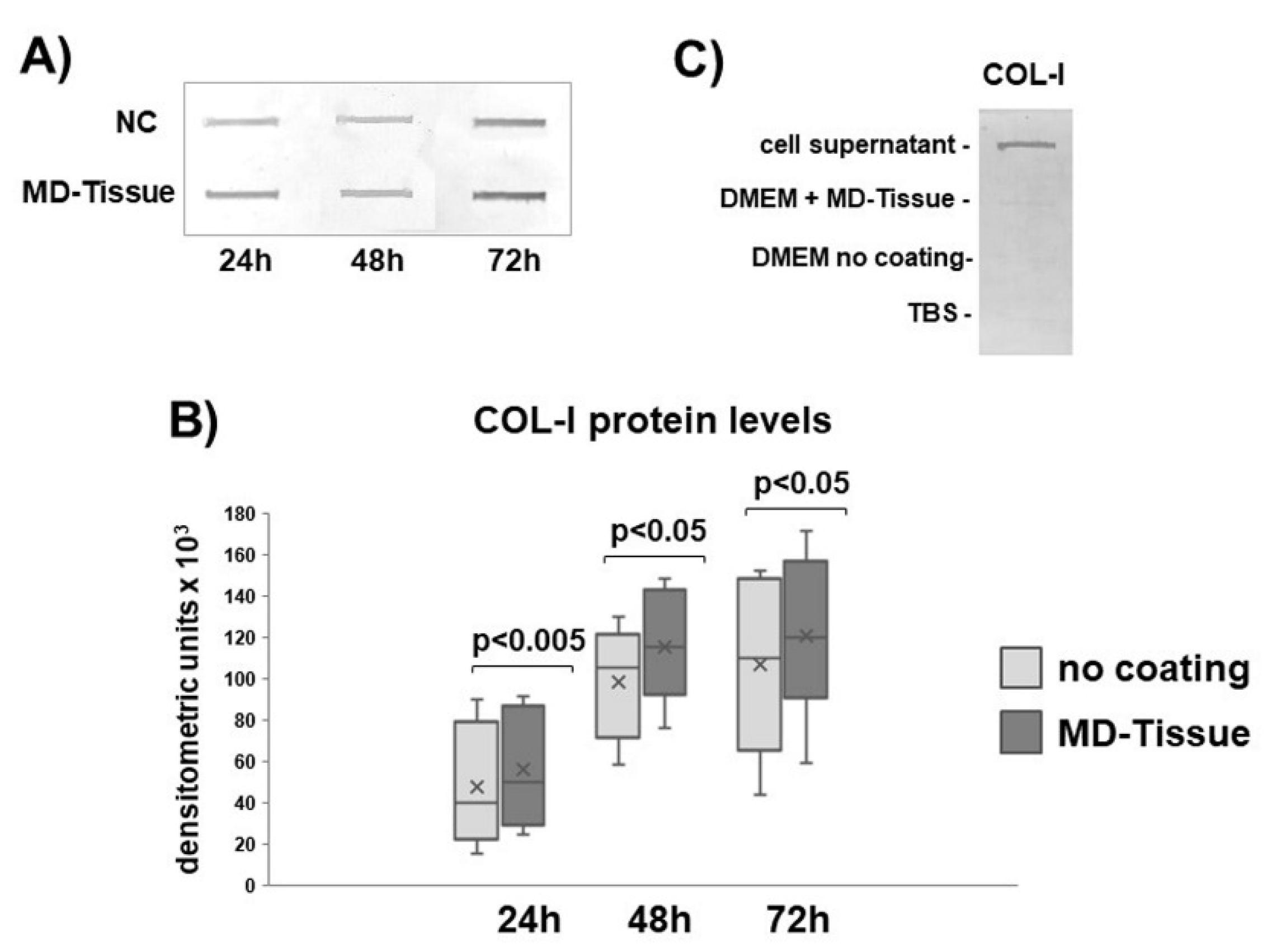 Cells 07 00246 g004 Cells 07 00246 g004