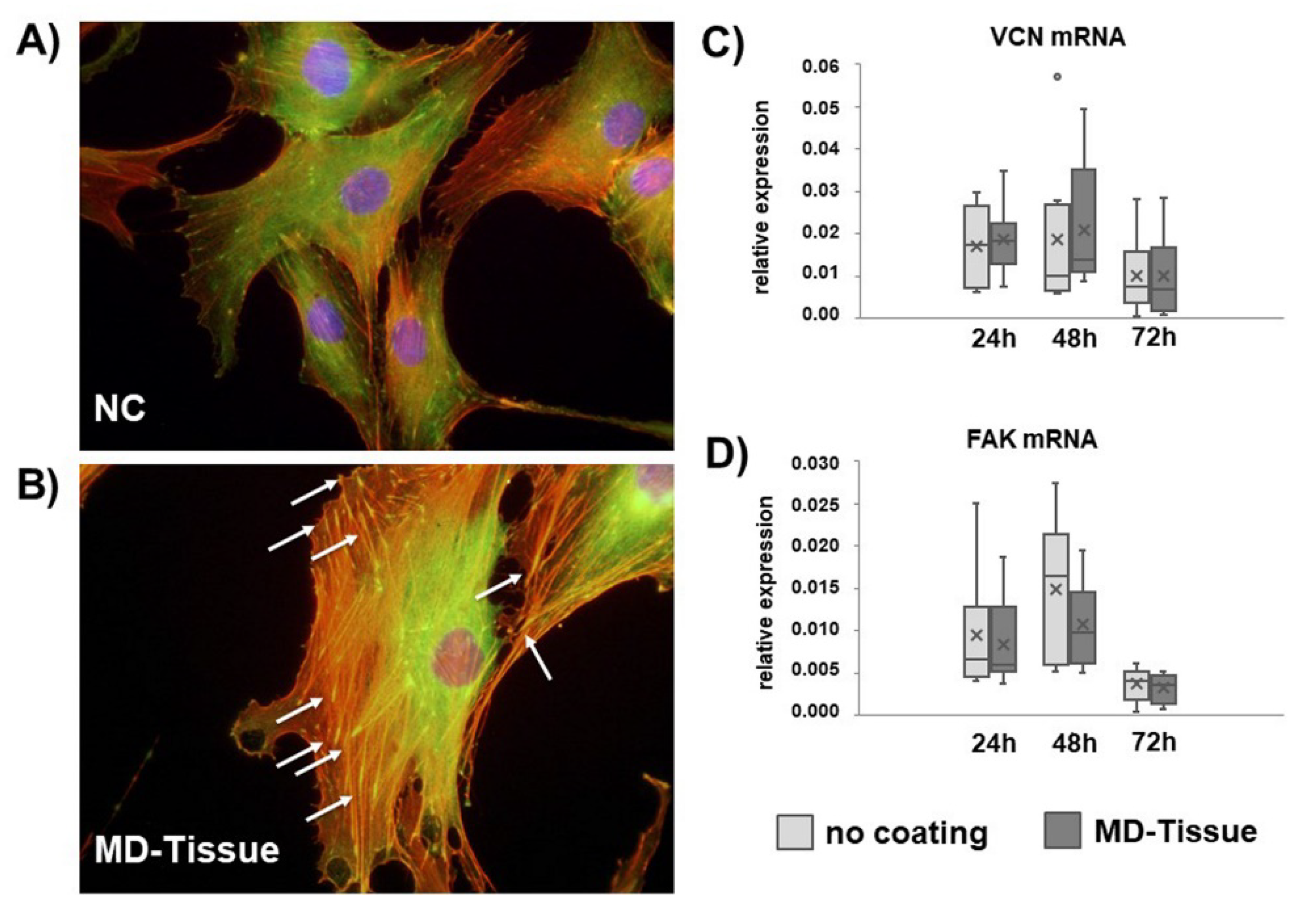 Cells 07 00246 g007 Cells 07 00246 g007