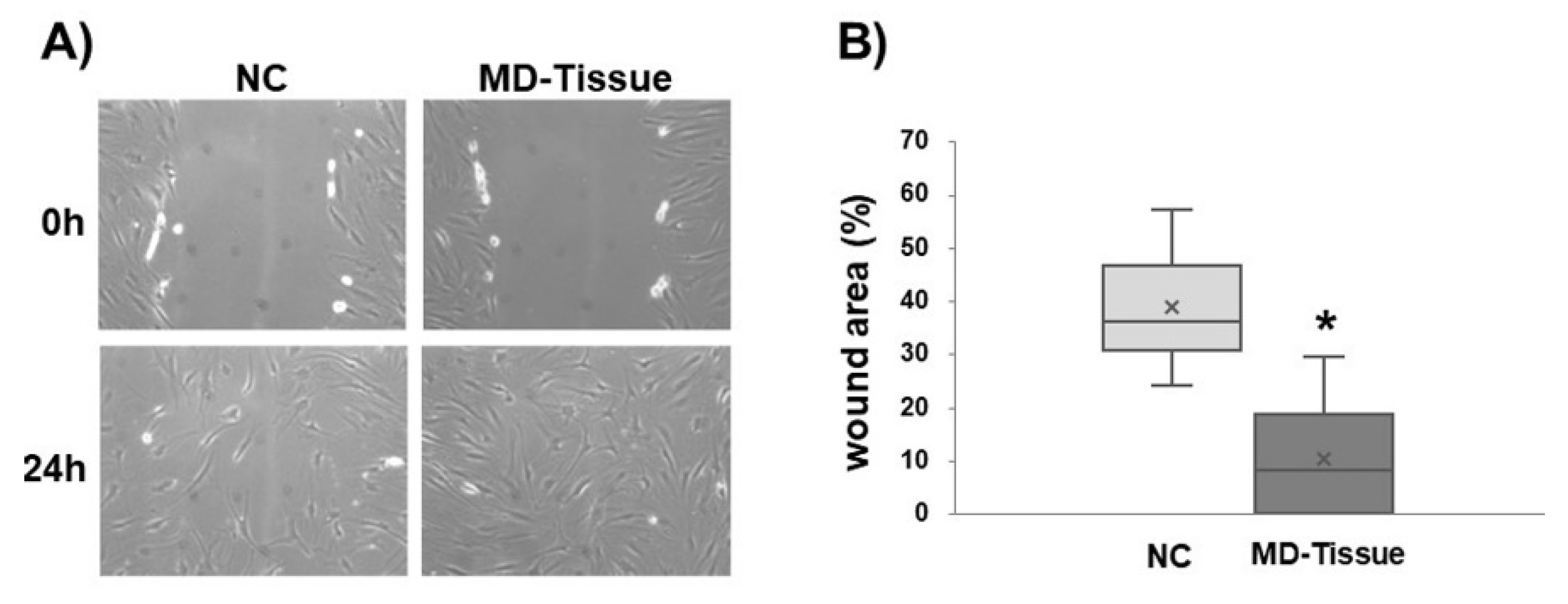 Cells 07 00246 g008 Cells 07 00246 g008