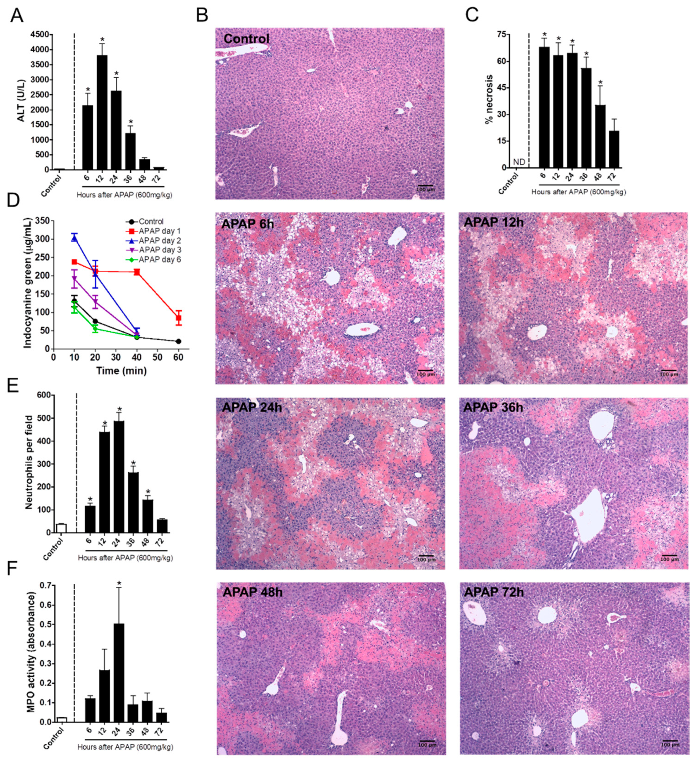 Cells 07 00247 g001 Cells 07 00247 g001