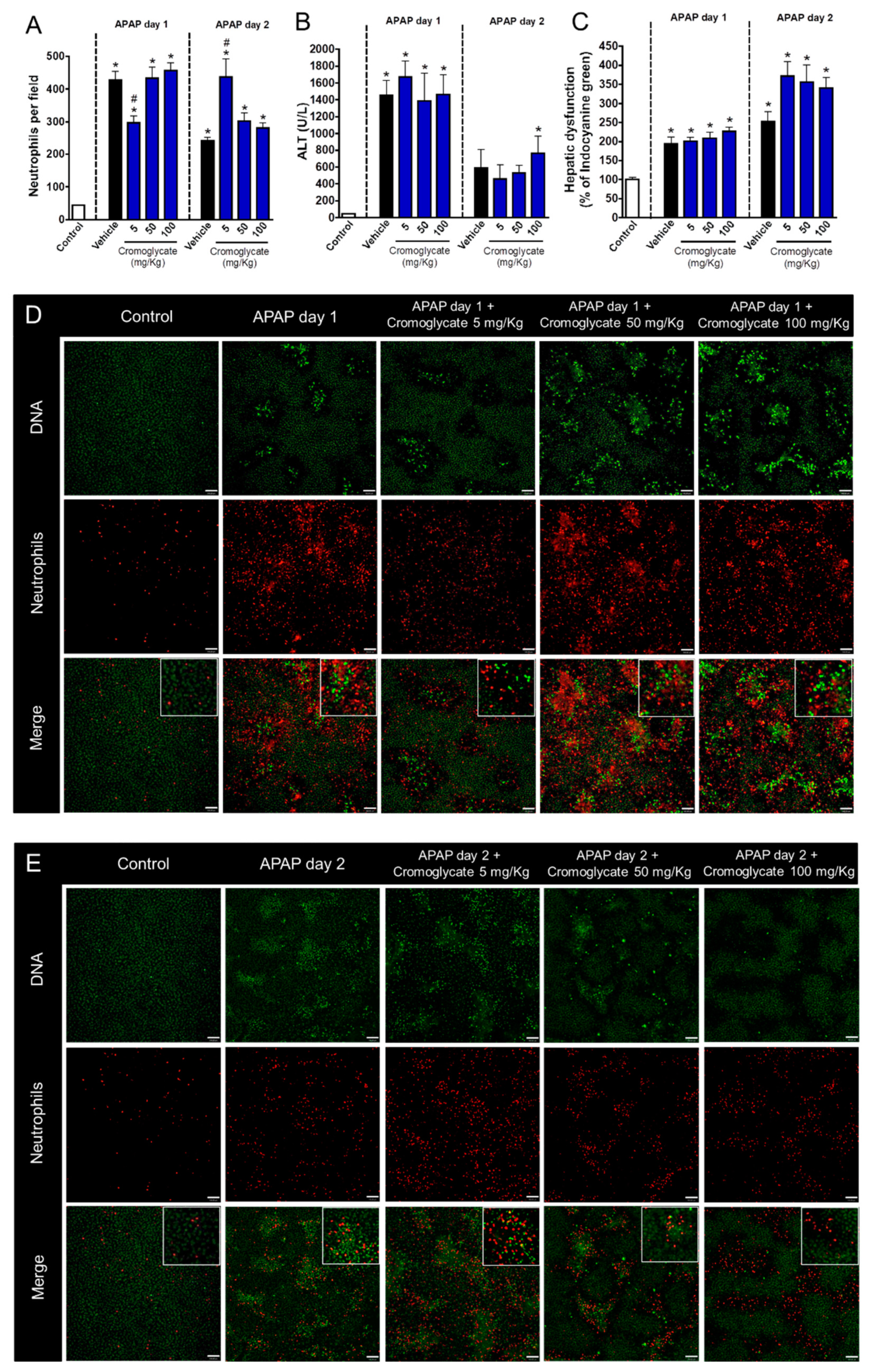 Cells 07 00247 g003 Cells 07 00247 g003