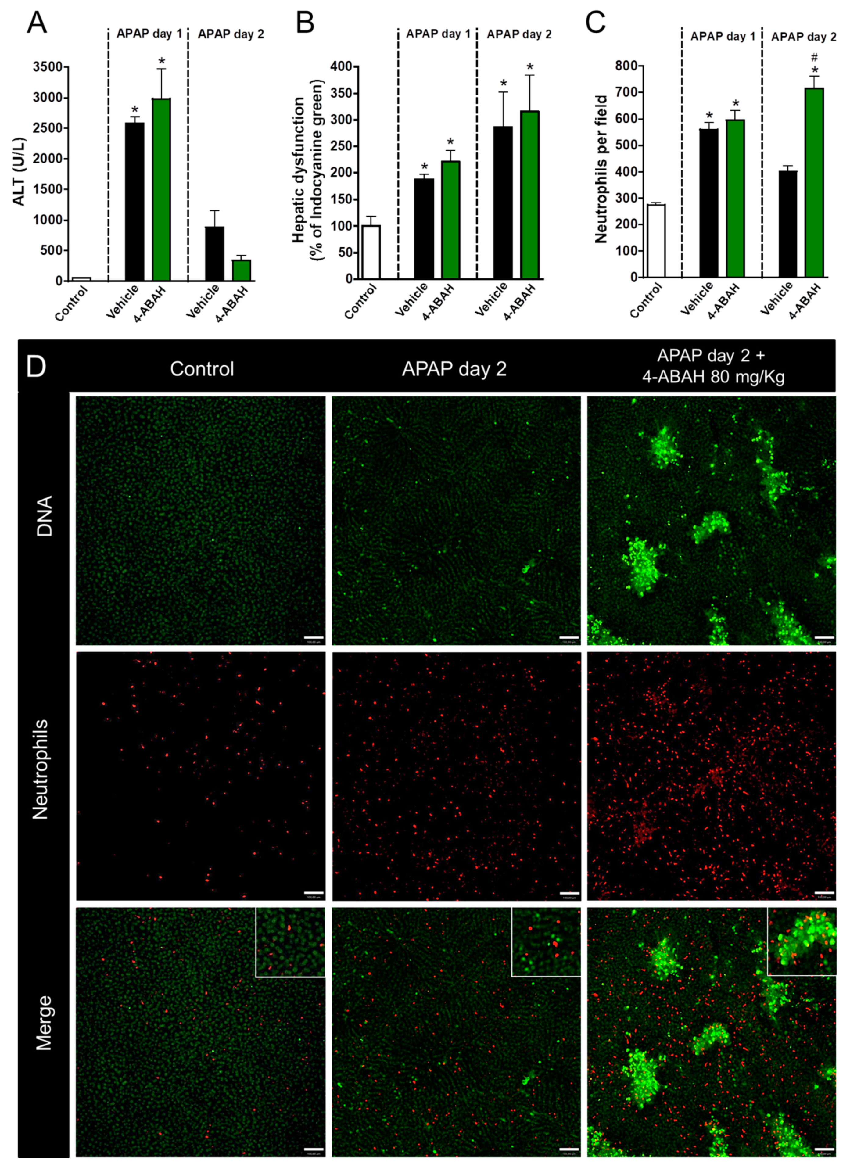 Cells 07 00247 g004 Cells 07 00247 g004