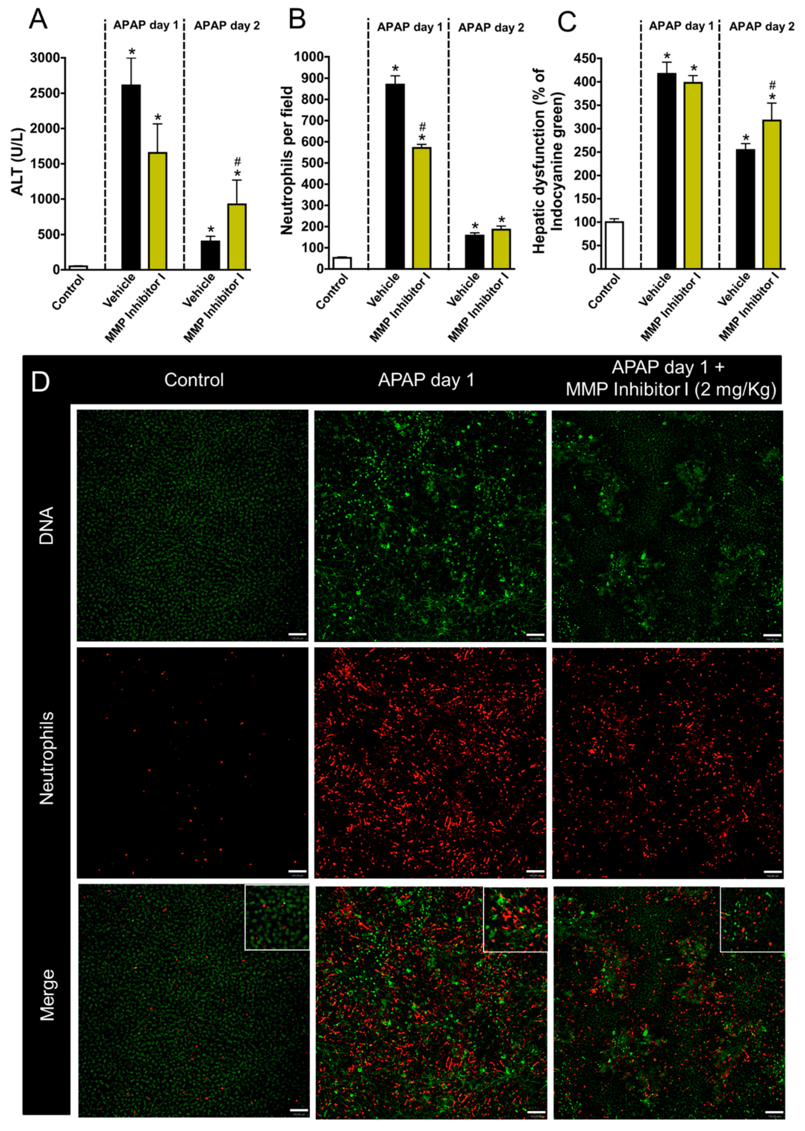 Cells 07 00247 g006 Cells 07 00247 g006