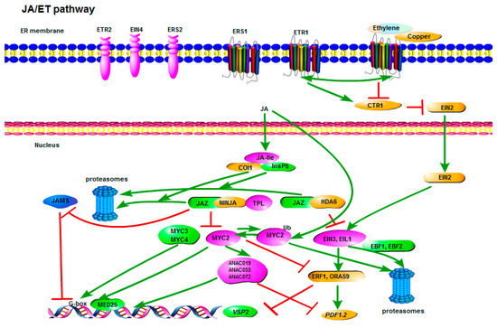 Different Pathogen Defense Strategies in Arabidopsis: More than
