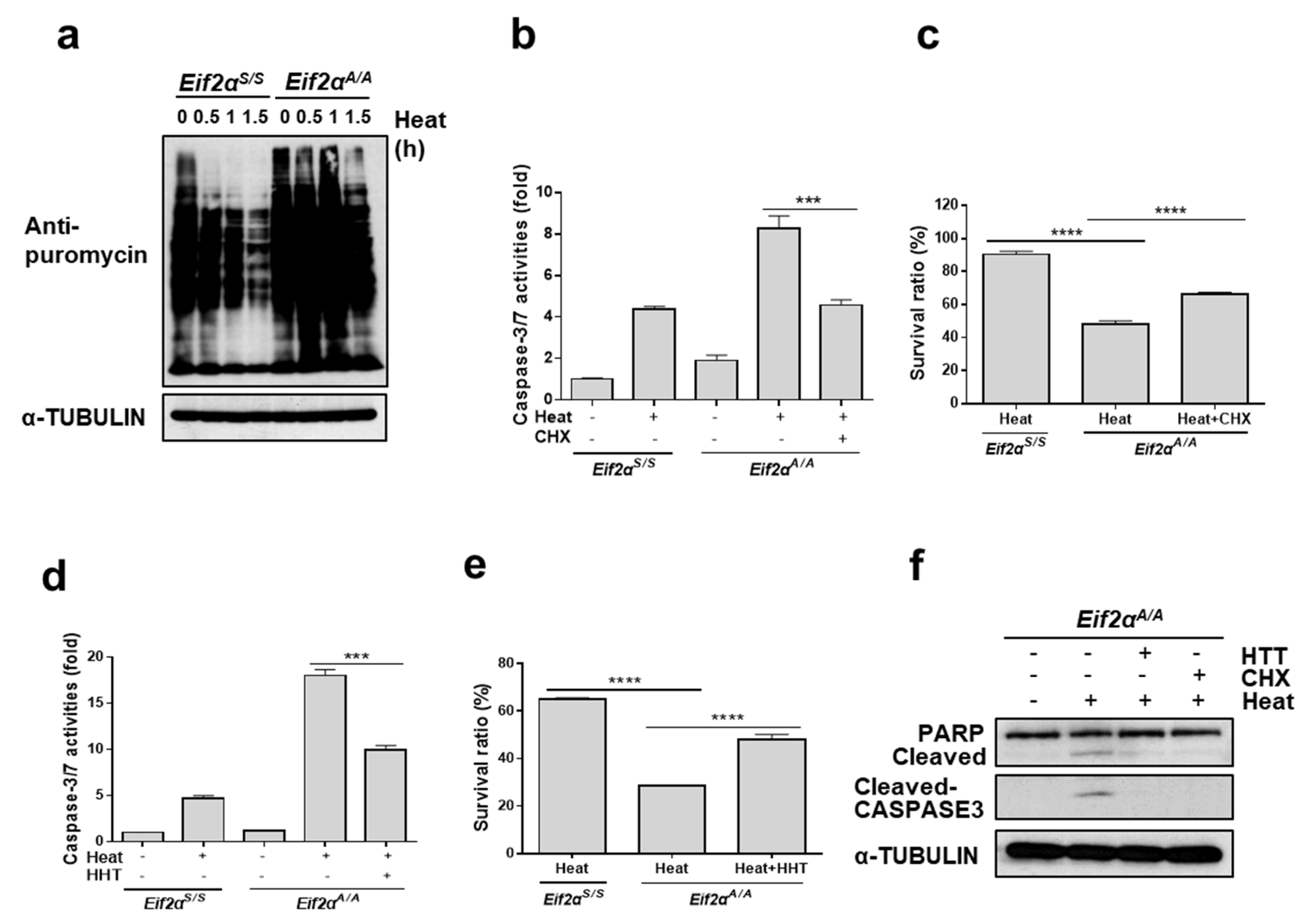 Cells 07 00254 g005 Cells 07 00254 g005