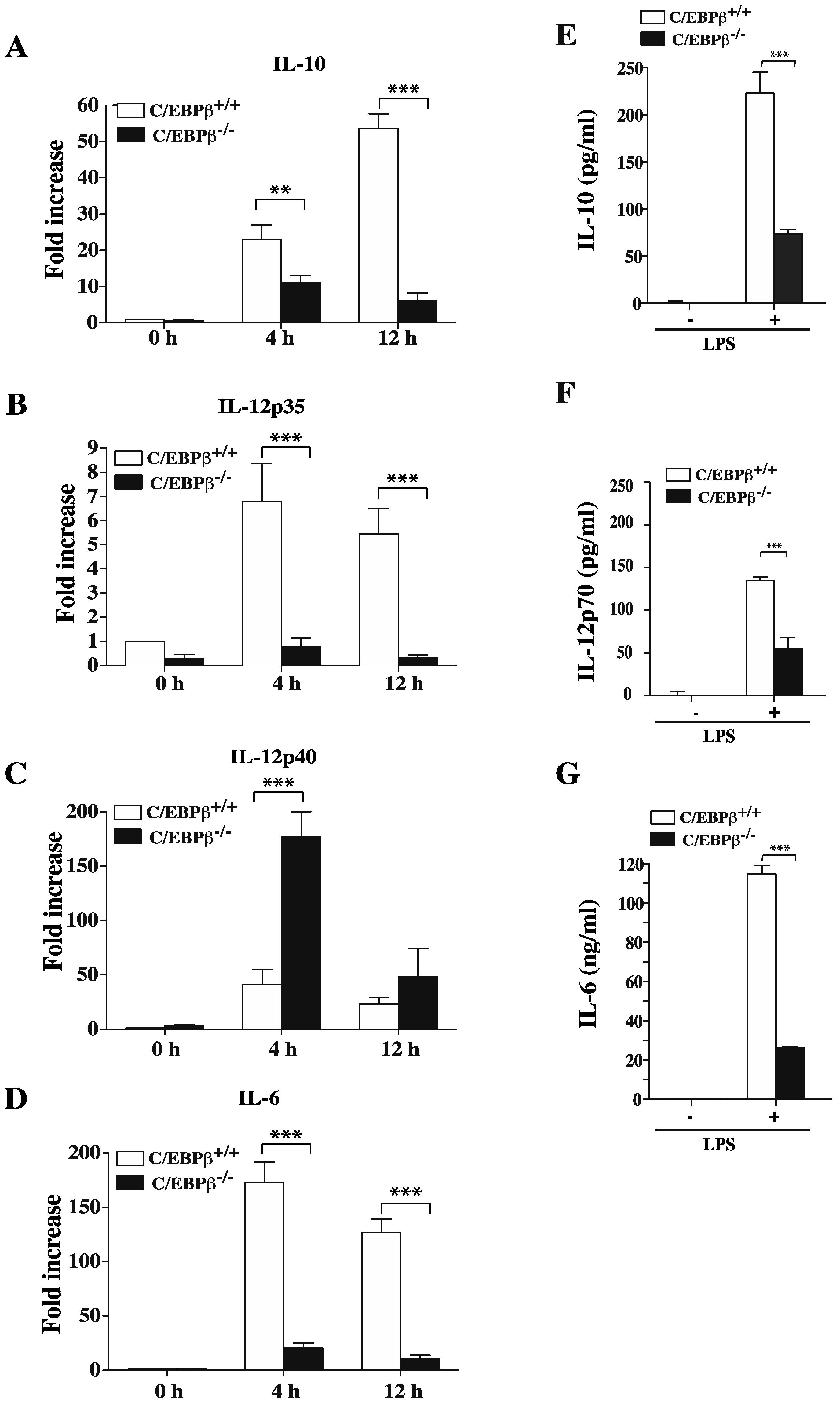 Cells 07 00256 g006 Cells 07 00256 g006