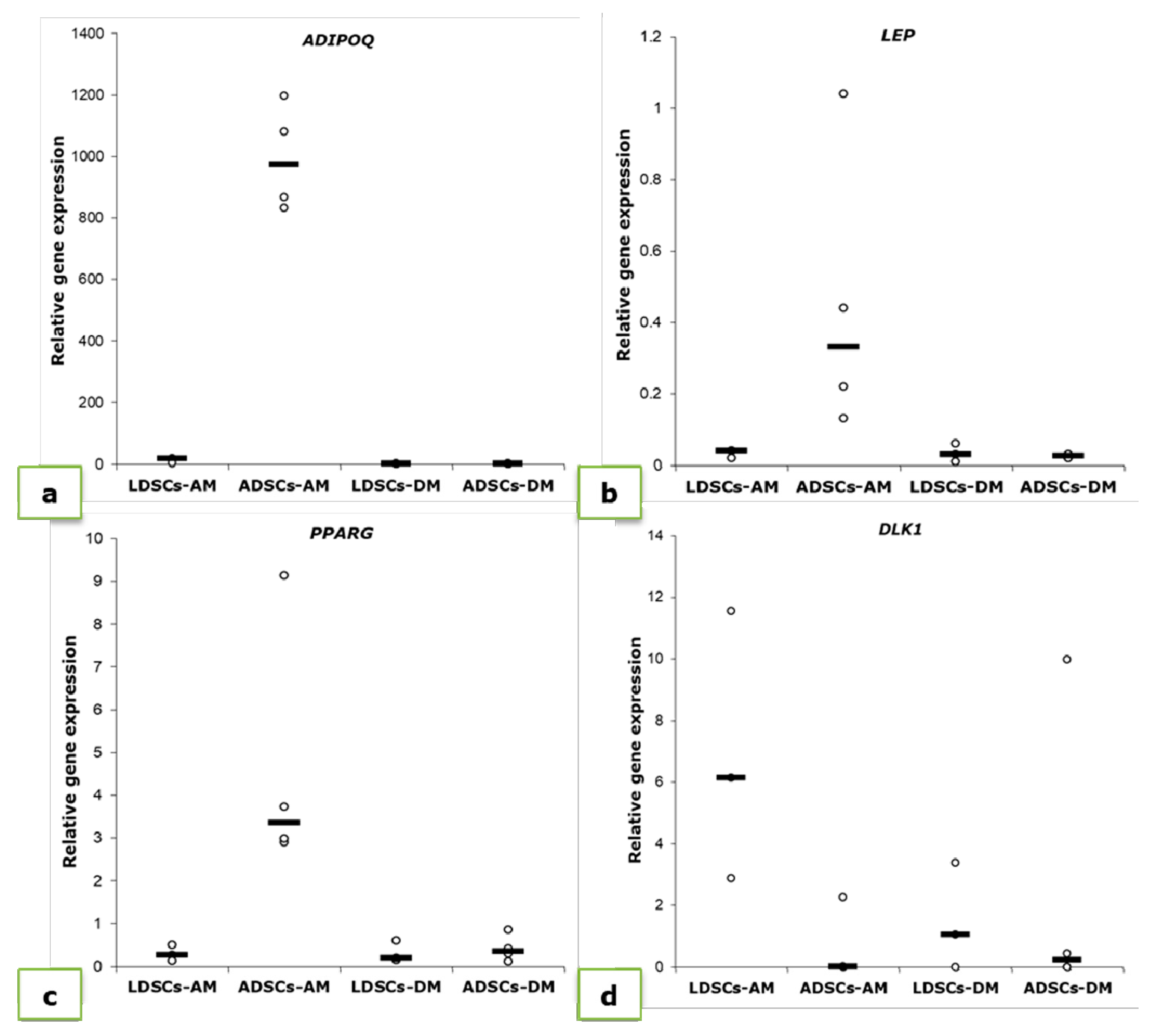 Cells 07 00260 g008 Cells 07 00260 g008