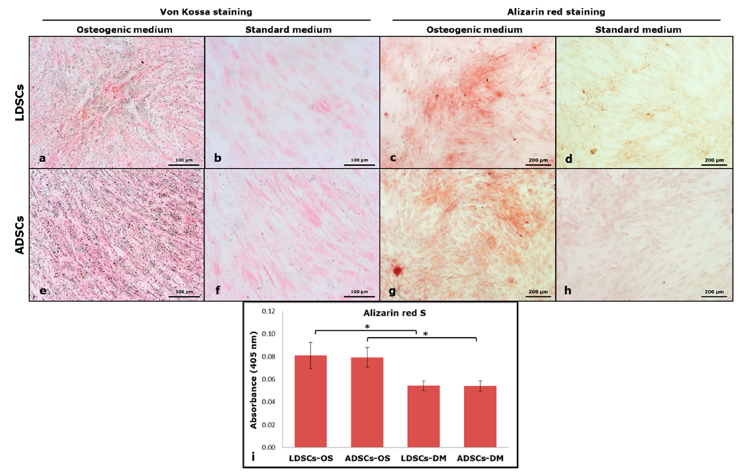 Cells 07 00260 g010 Cells 07 00260 g010